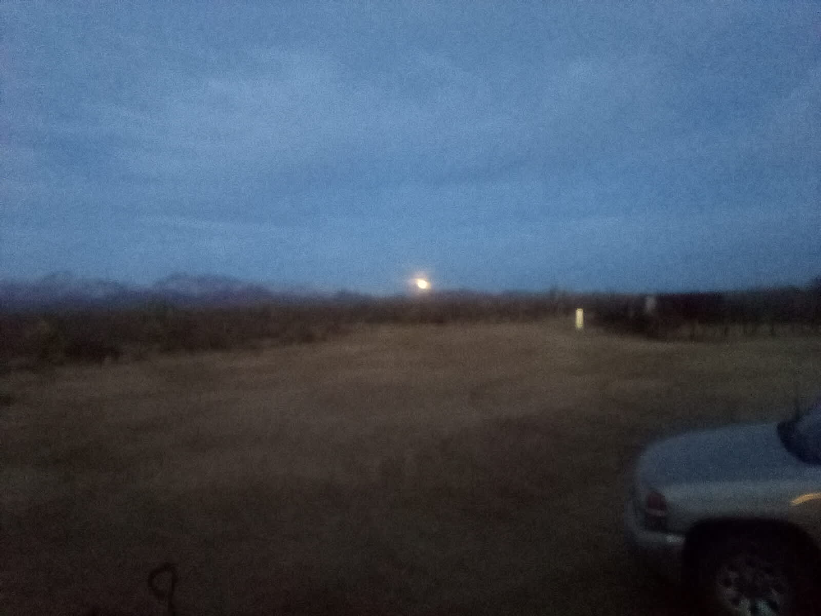 Road Runner Ranch