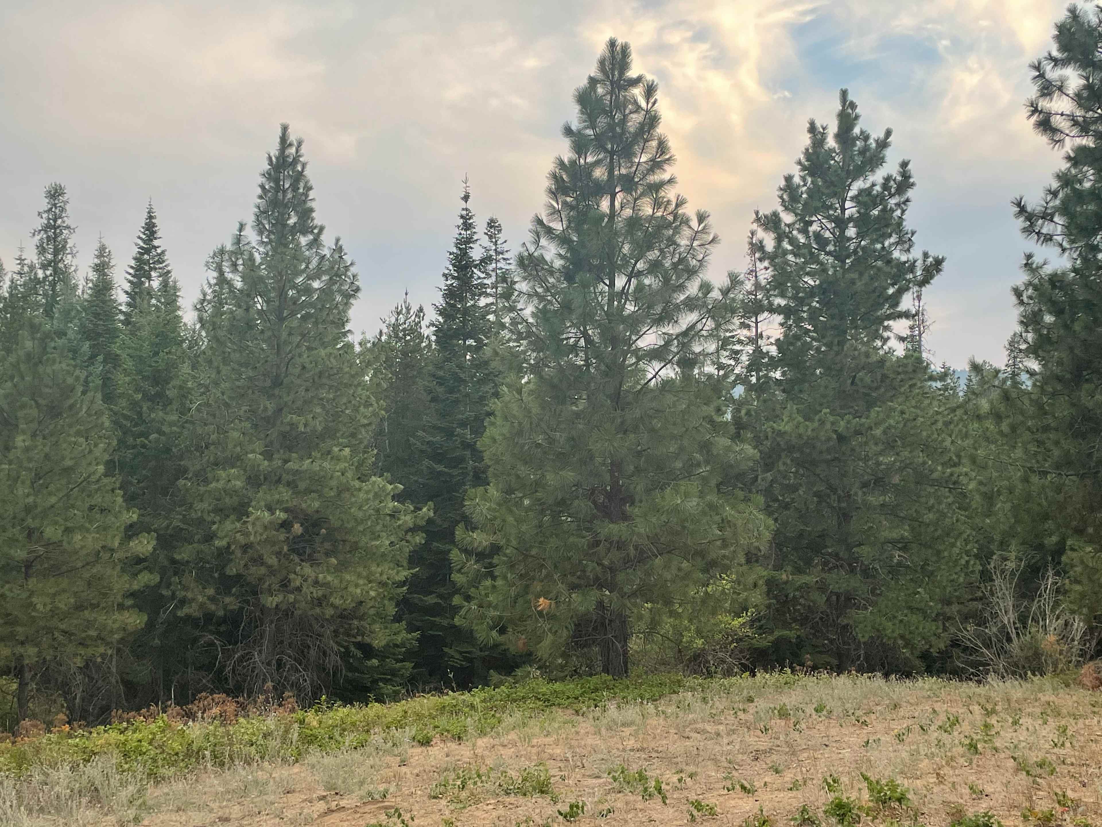 White’s Lodge Campground