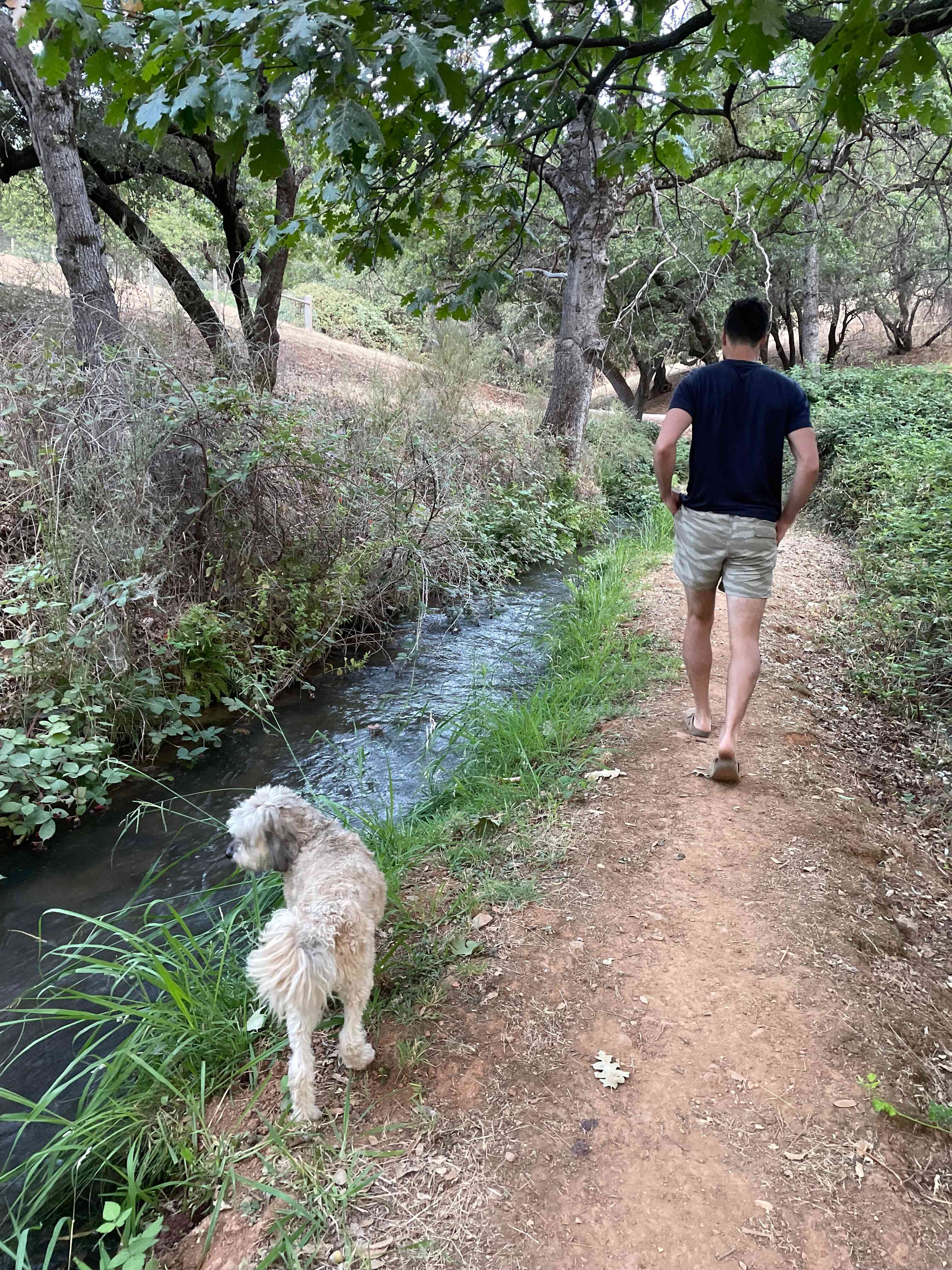 Animal Lovers Paradise