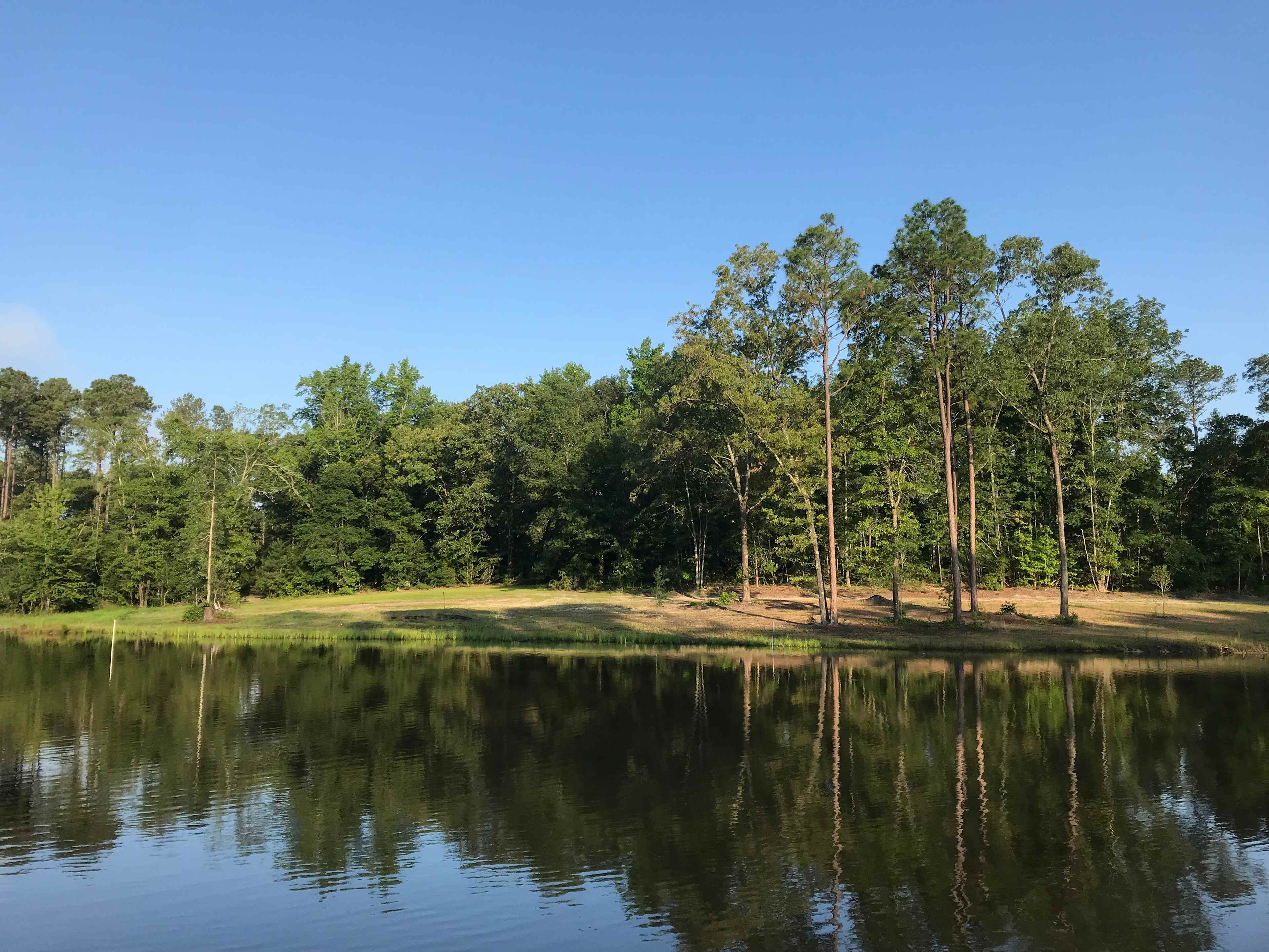 Wide view of both sites from across the pond.