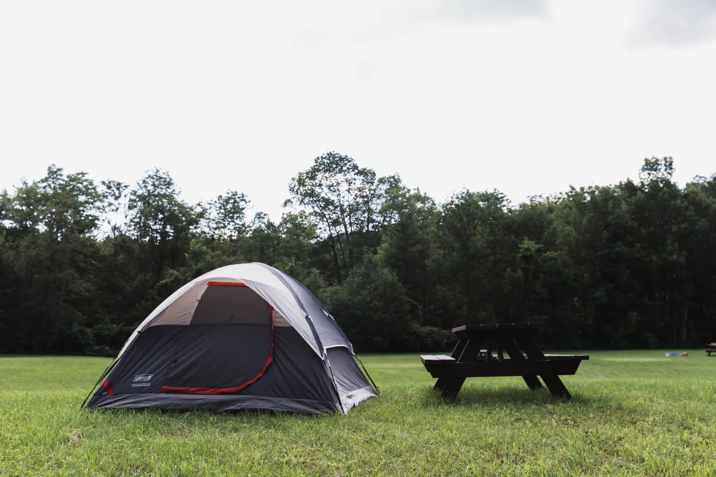 I normally prefer to camp tucked into the woods, but this high spot in the middle of the field was nice and dry after weeks of rain. 