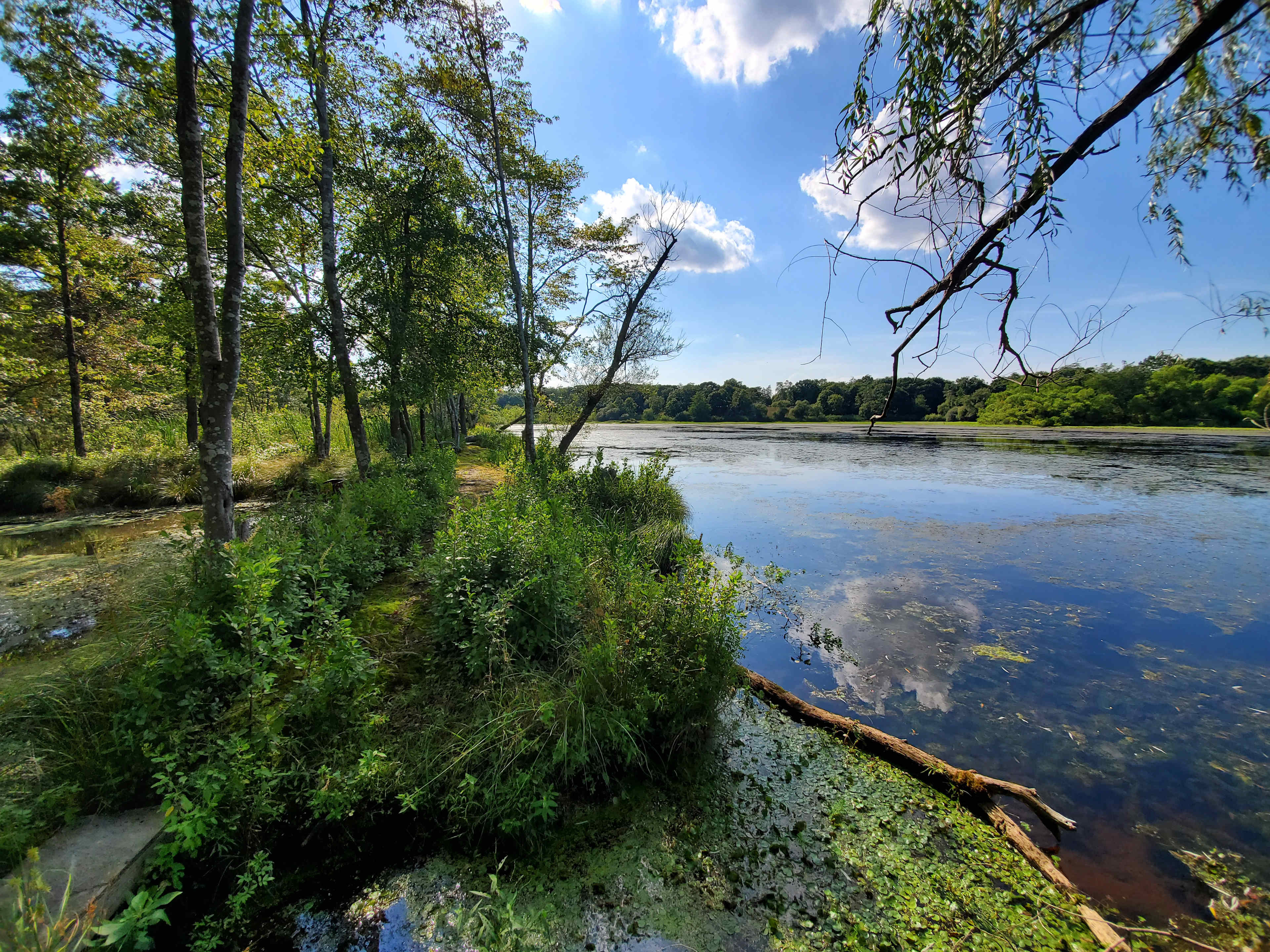 Peconic River Campgrounds