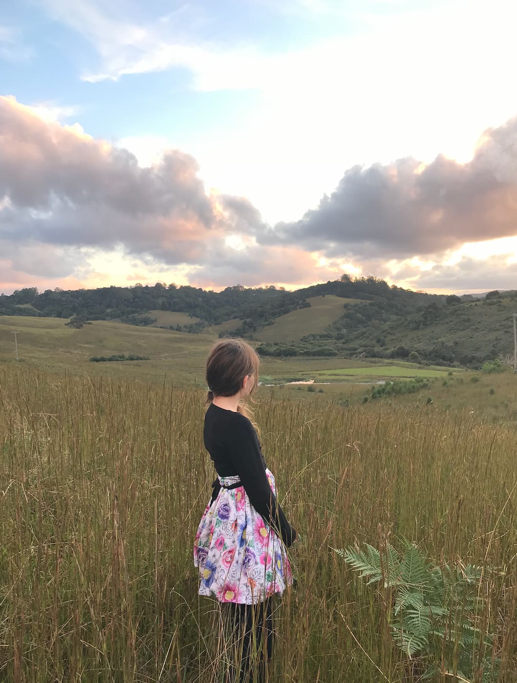 Serenity is gorgeous, but extreme temps, we are wanting to create a forest with the help of extra hands to begin rehabilitating this land!  