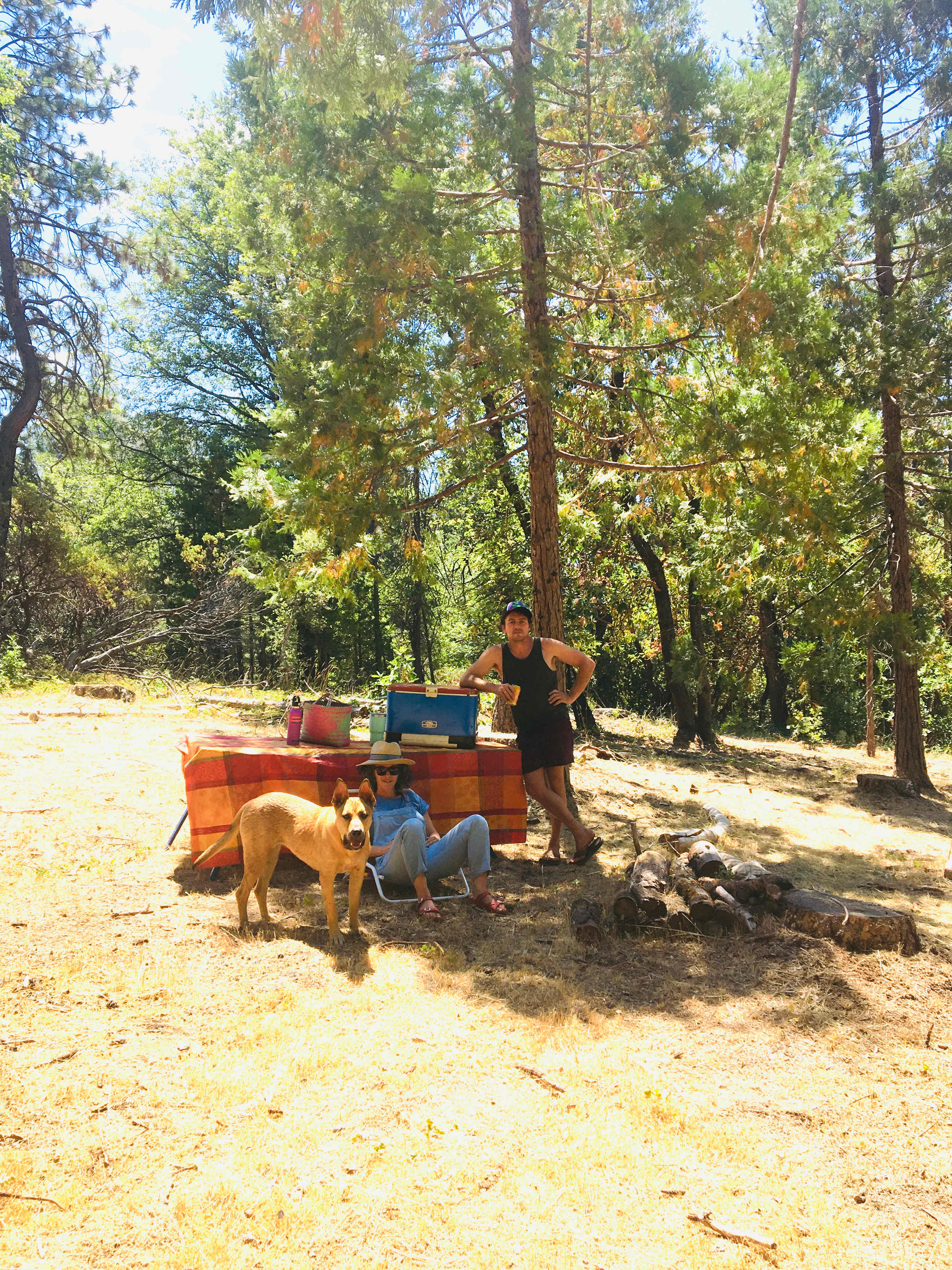 Campin' easy in the Cali sunshine
