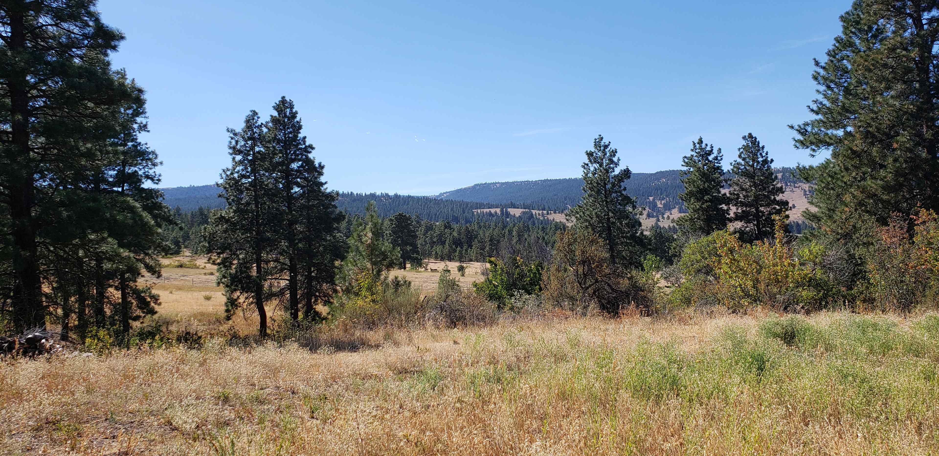 Colockum Wildlife Camp
