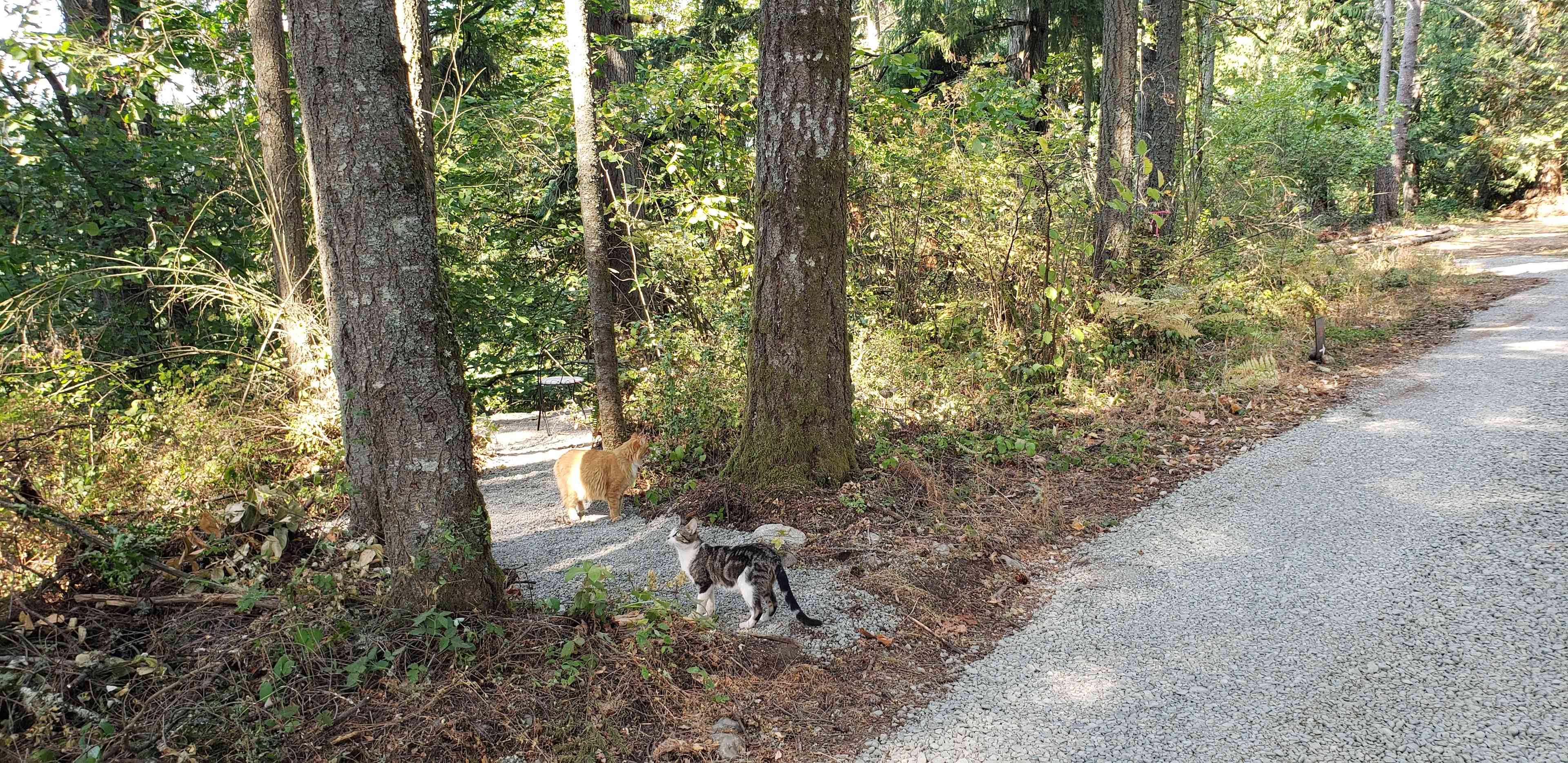Dean’s Campground