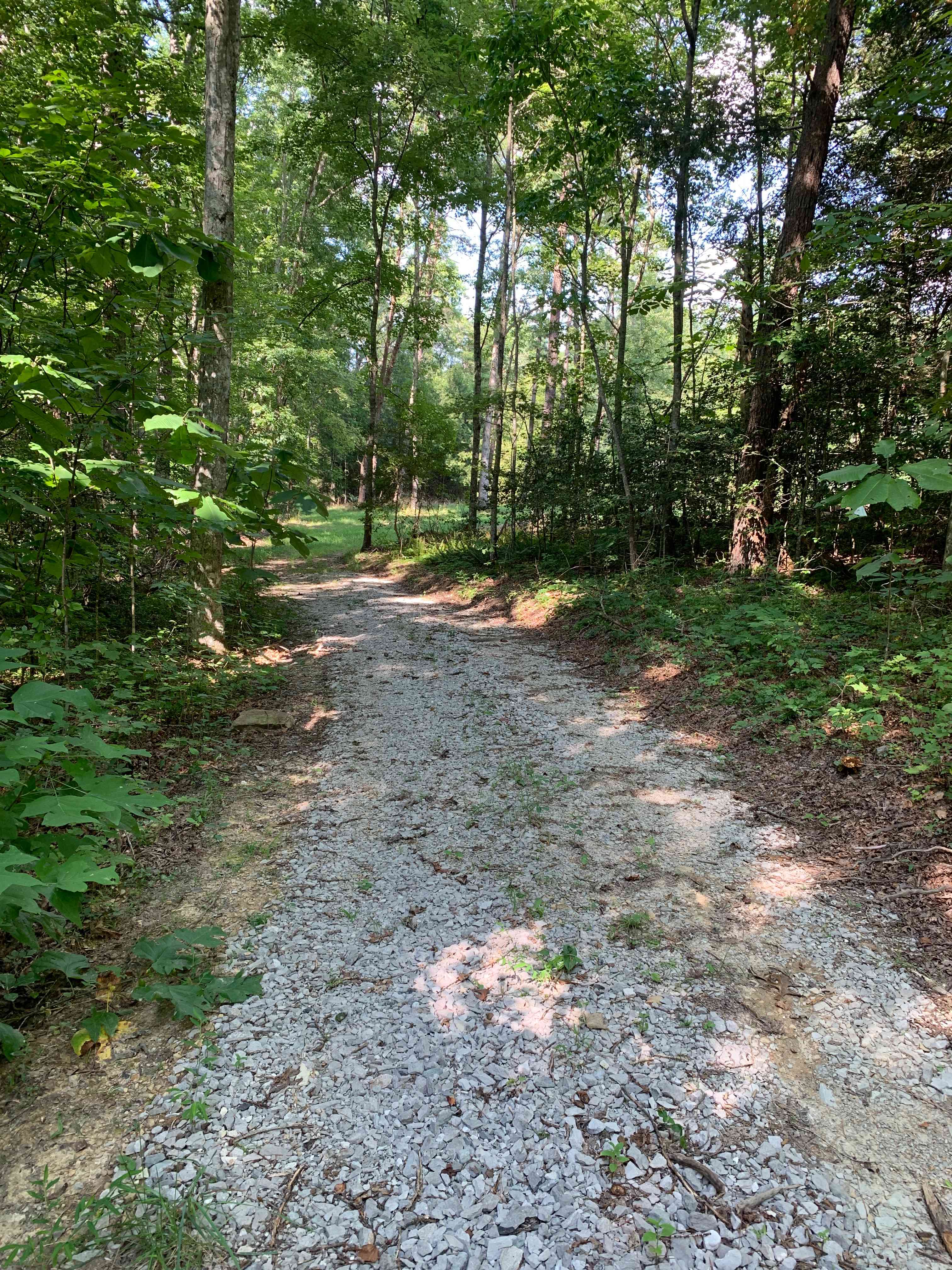 The road going in is gravel. Great for all weather. 