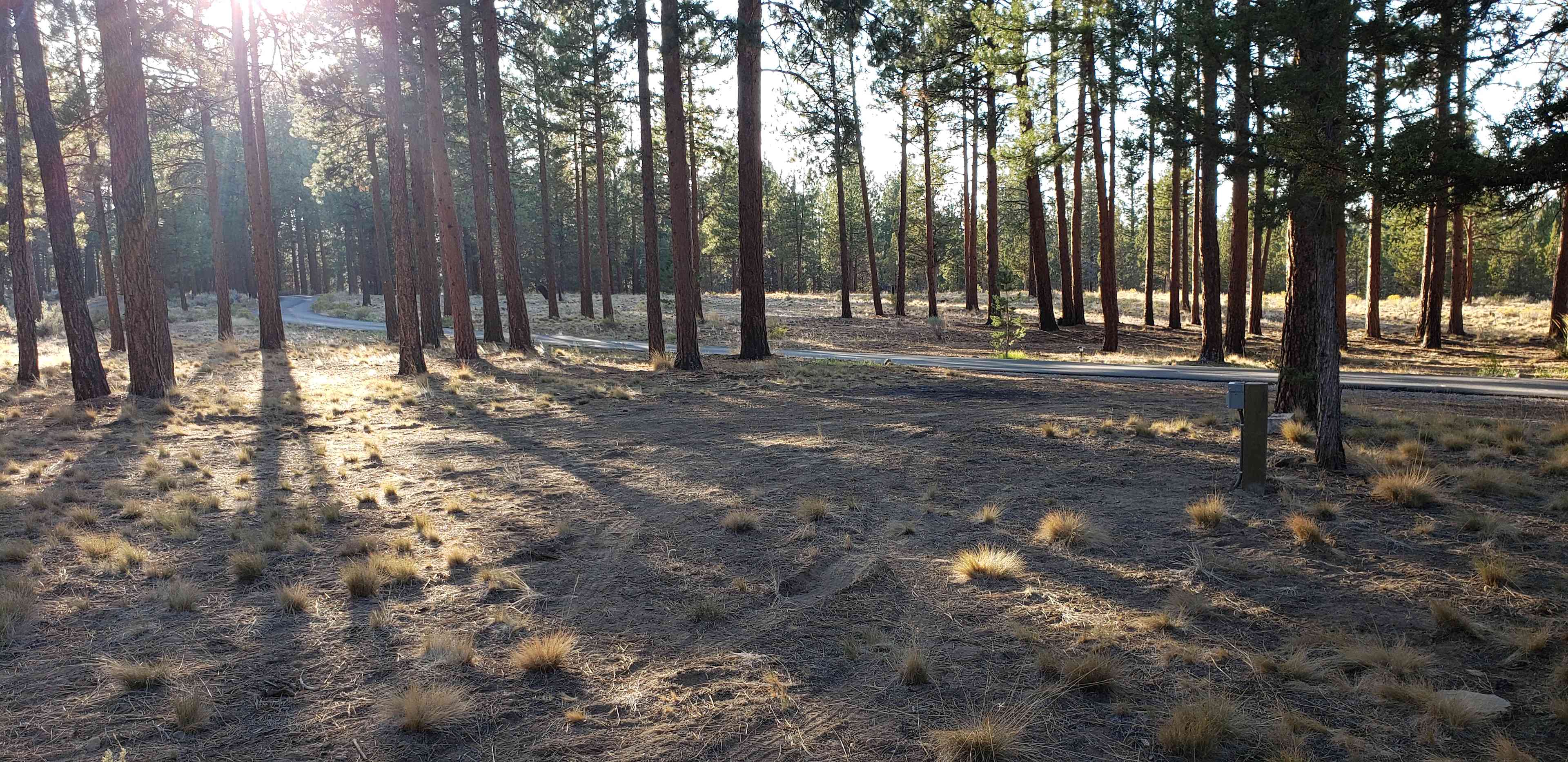 Trout Pines Camping