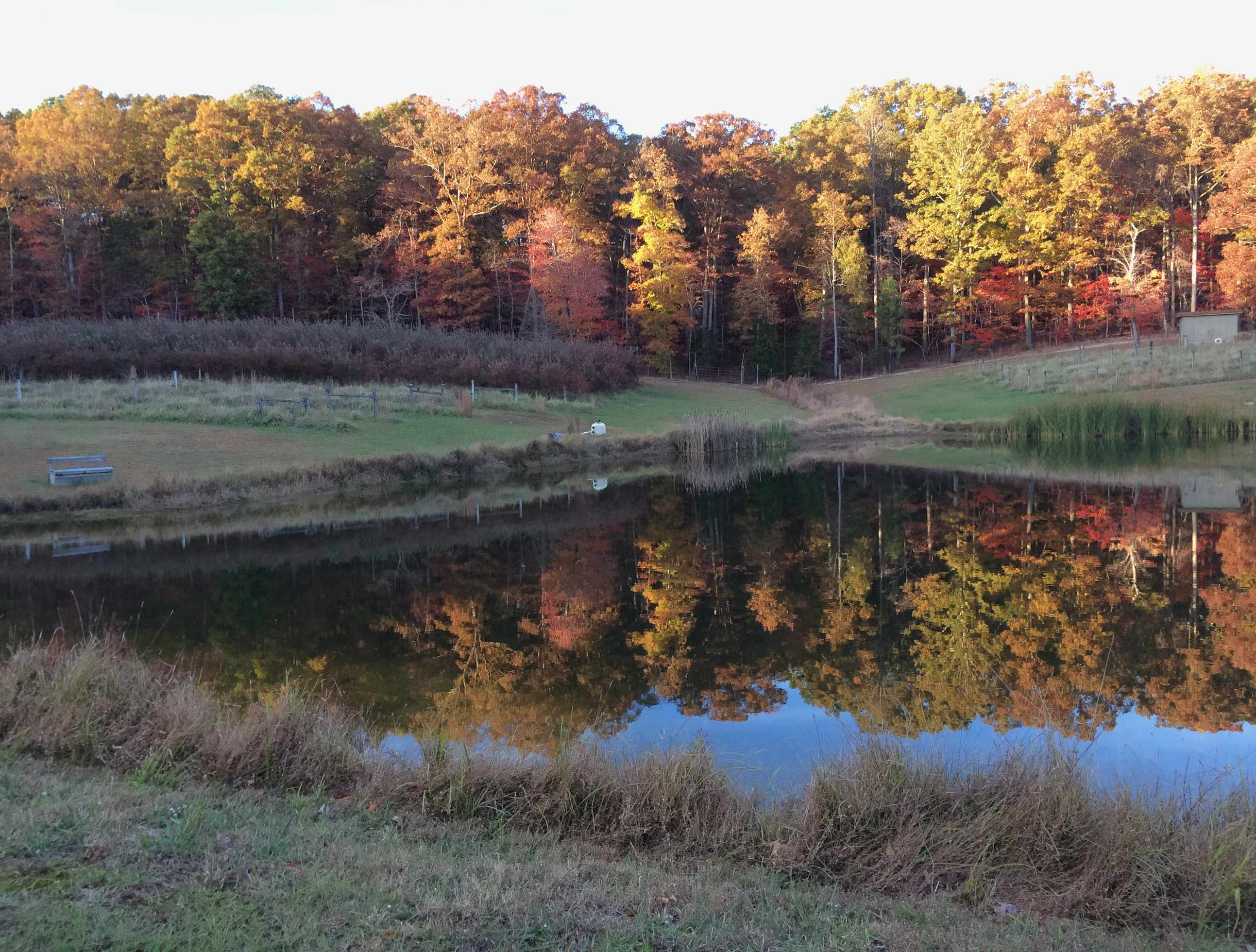 Private meadow and pond