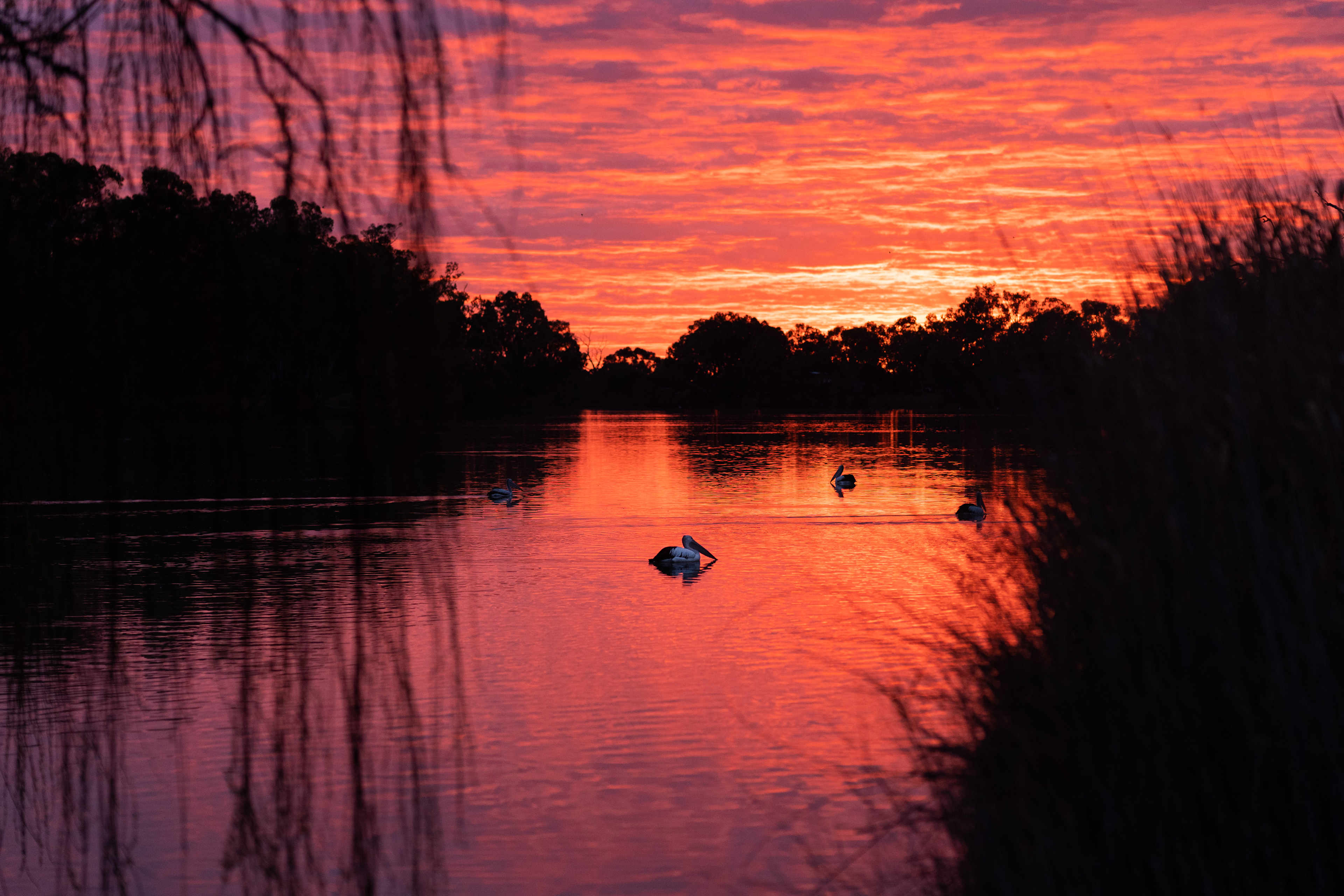 Secluded exclusive river campsite
