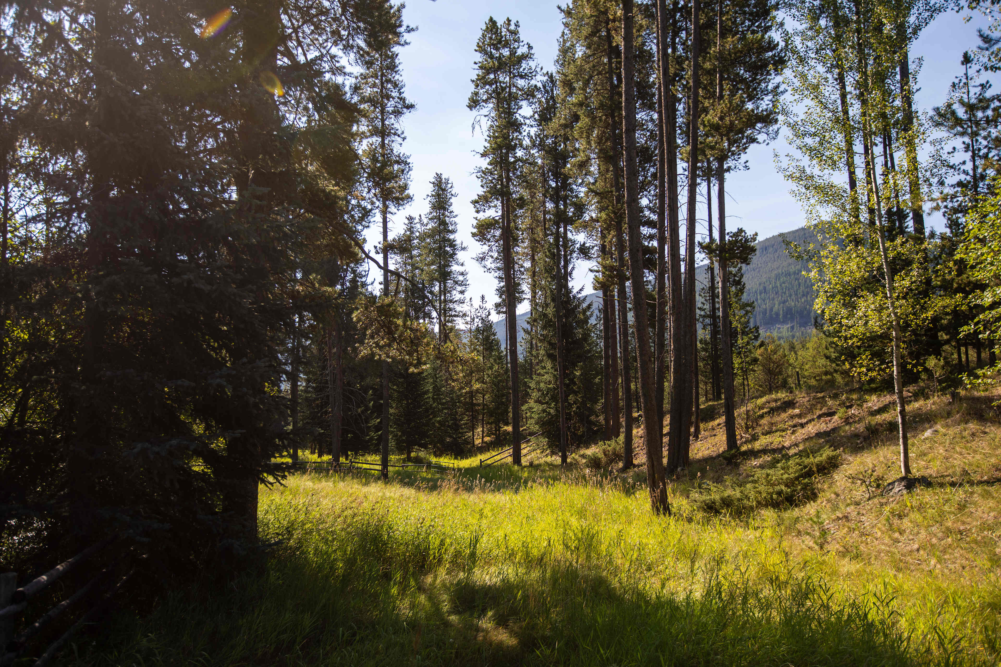 Murphy's Gold Creek Ranch