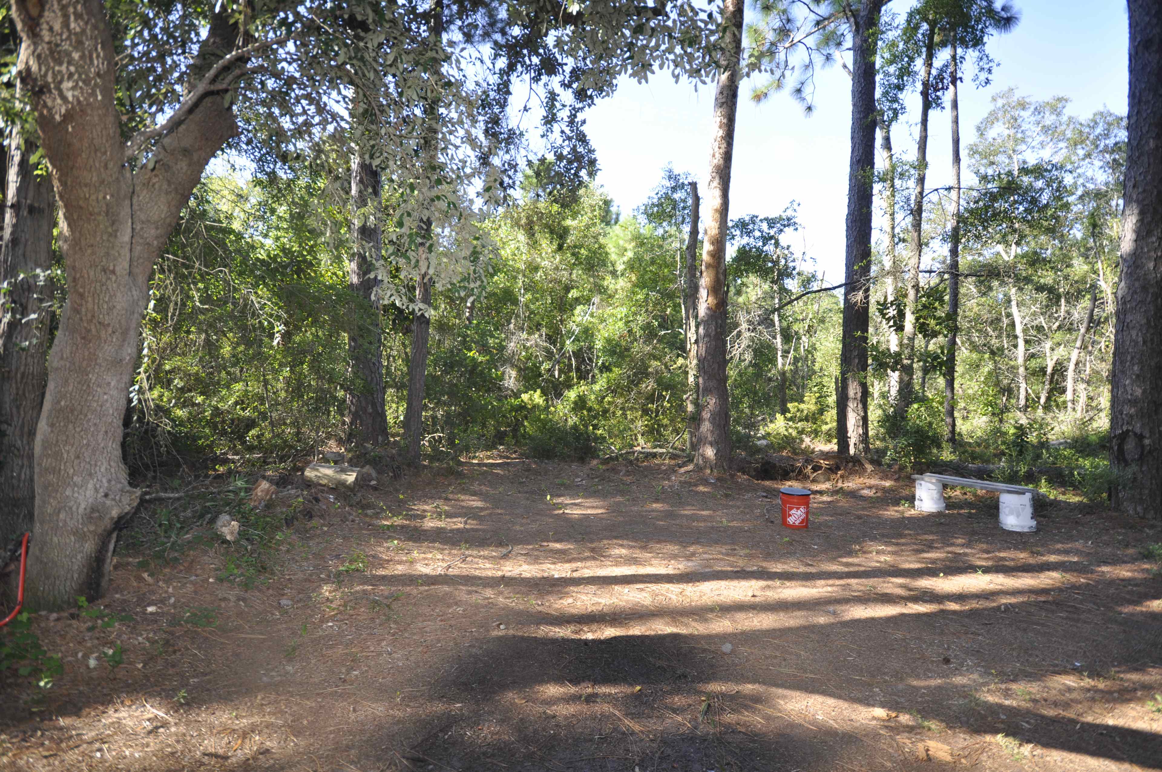Pine forest, 5 minutes to the beach