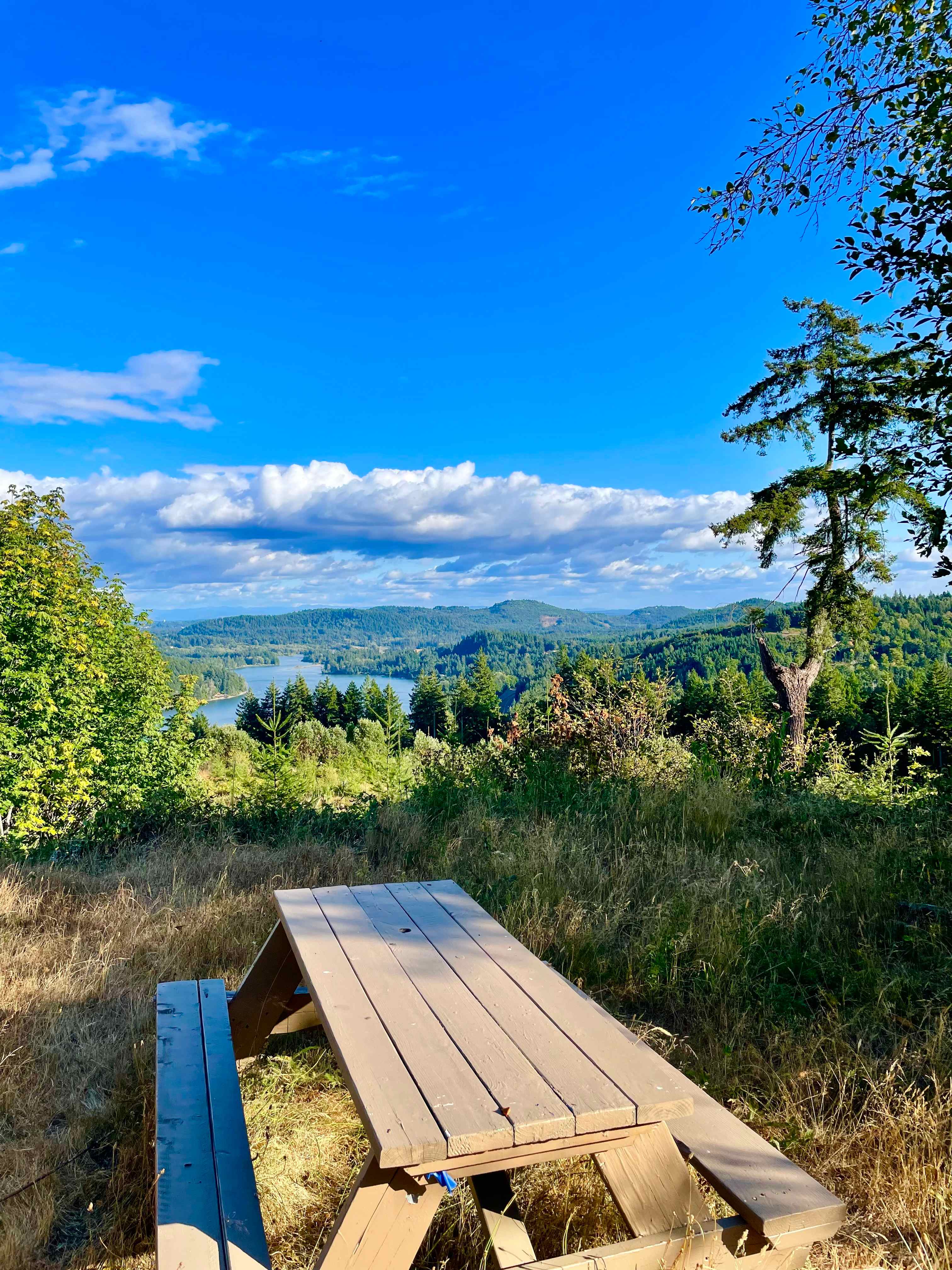 Hairy Eagle Lookout 🦅