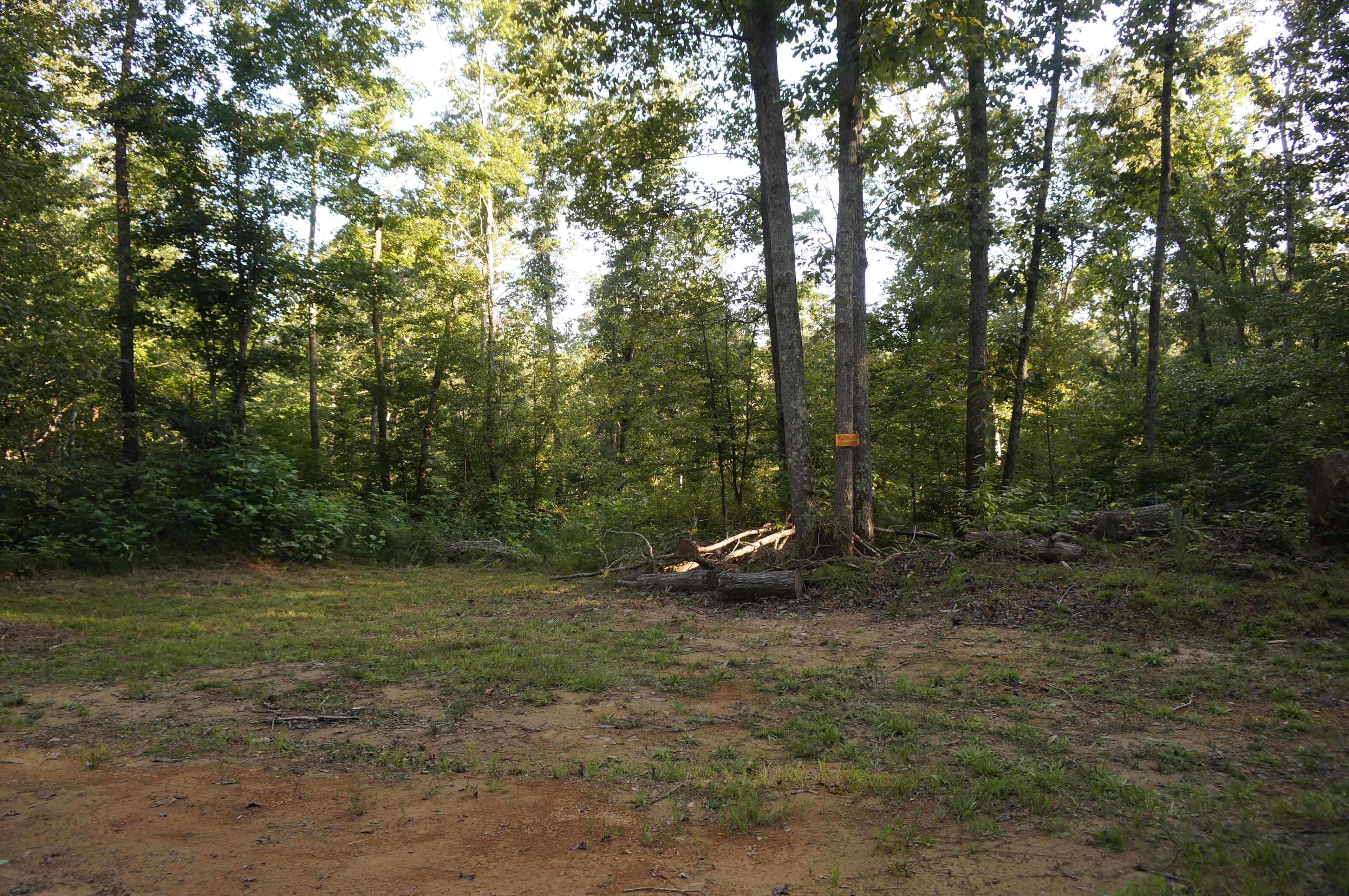 This campsite is 0.2 miles from the bottom of the hill at the Lodge.