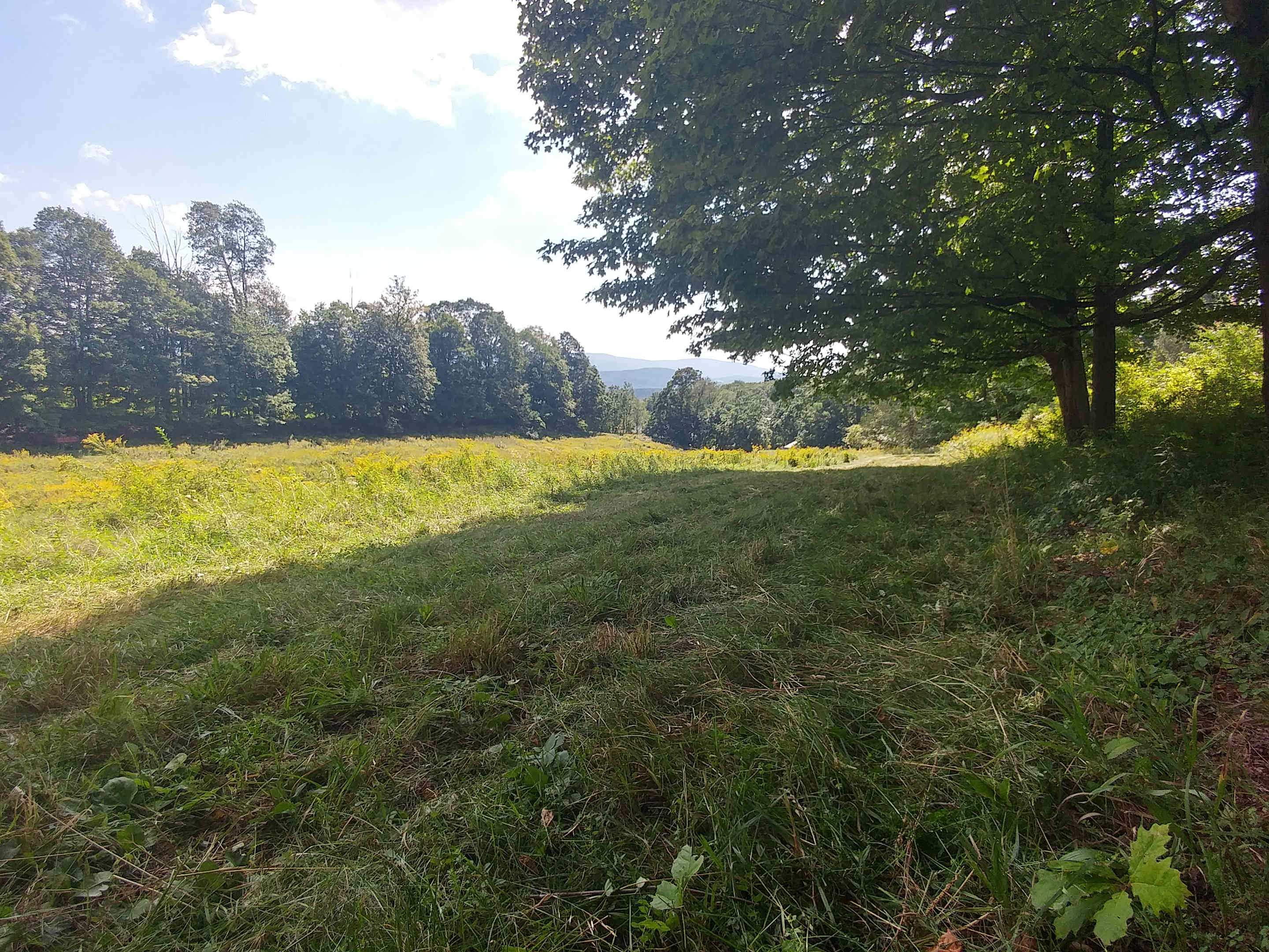 Timbertrail Farm