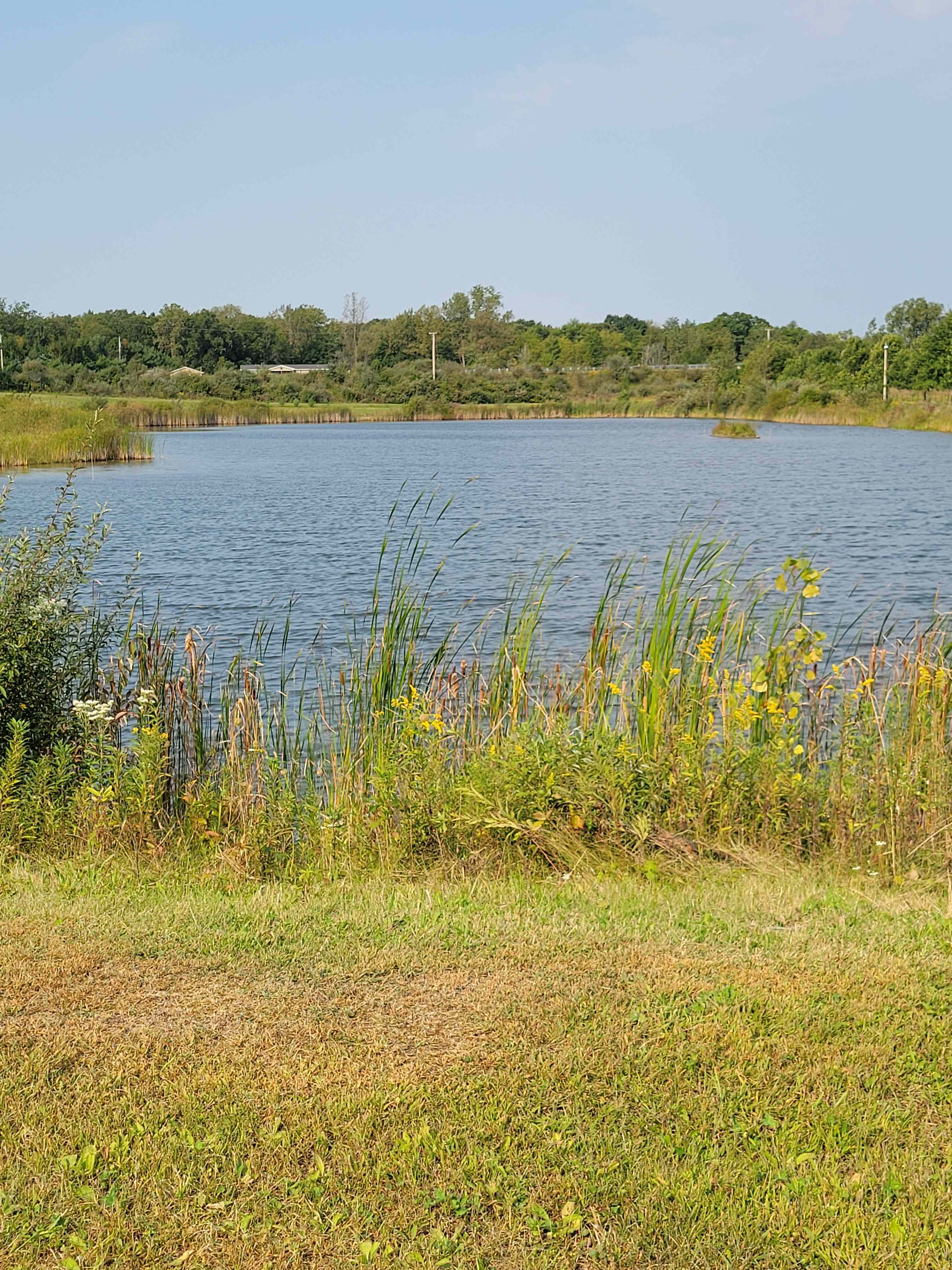 Beautiful pond.