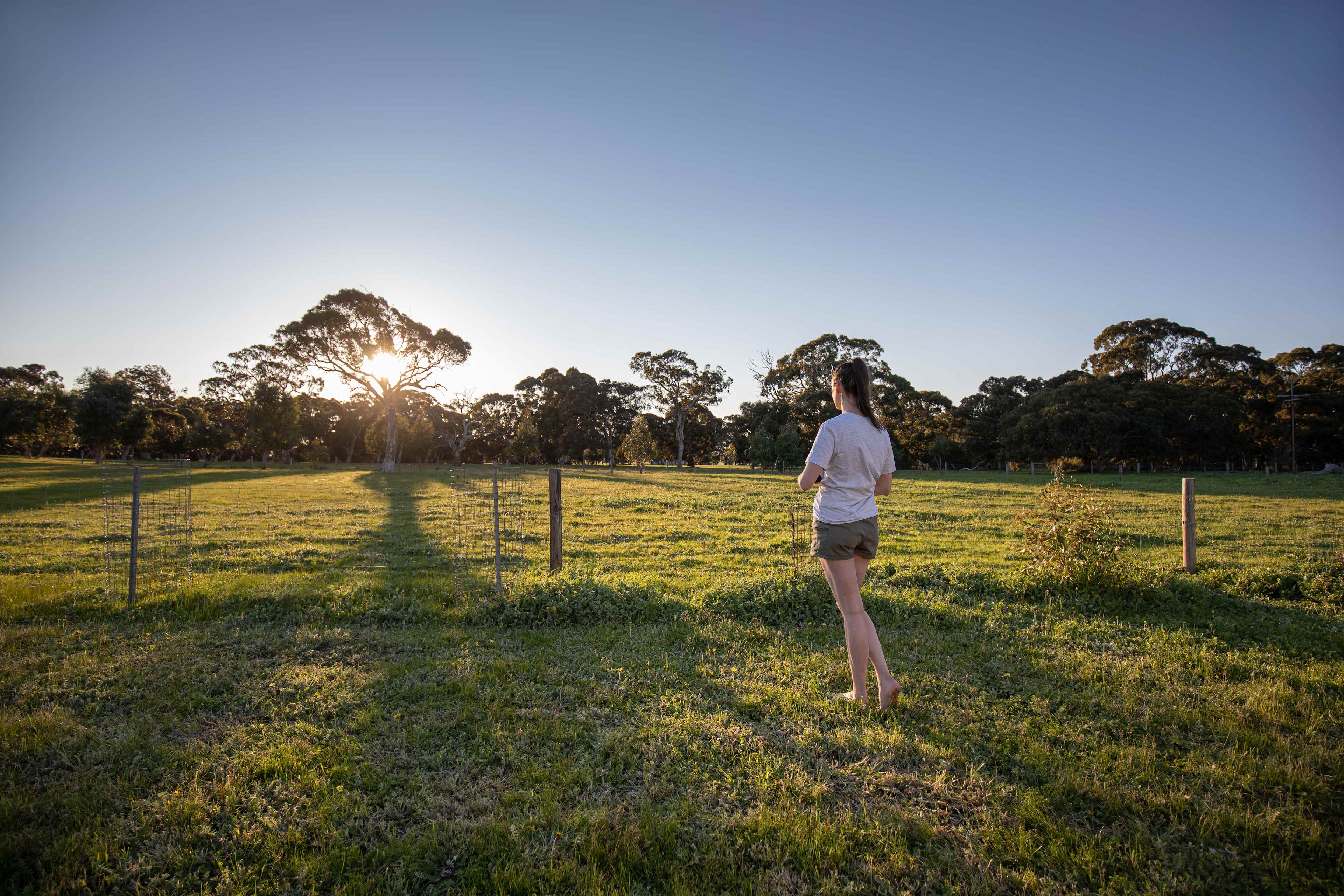 Stunning spring sunrise at Wagon Flat