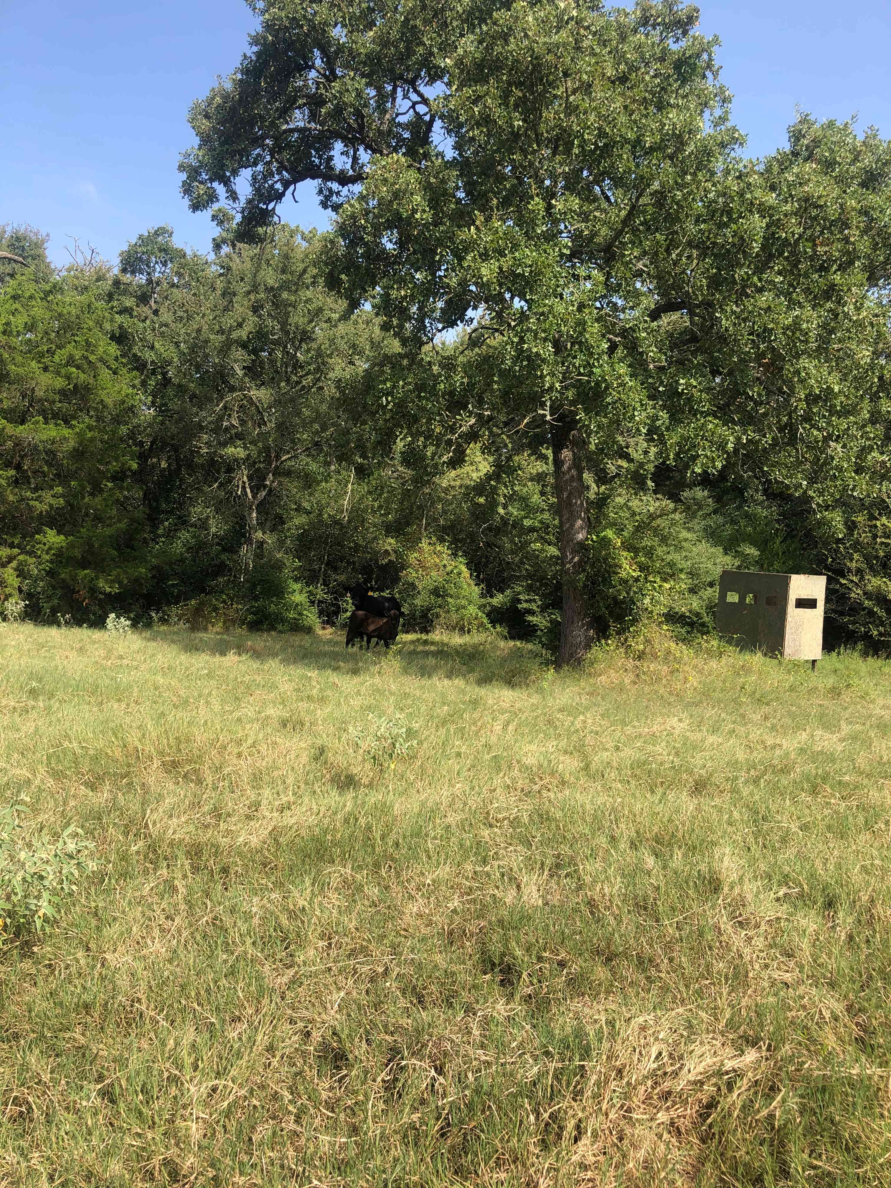 BJAllen’s Primitive Family Camping 