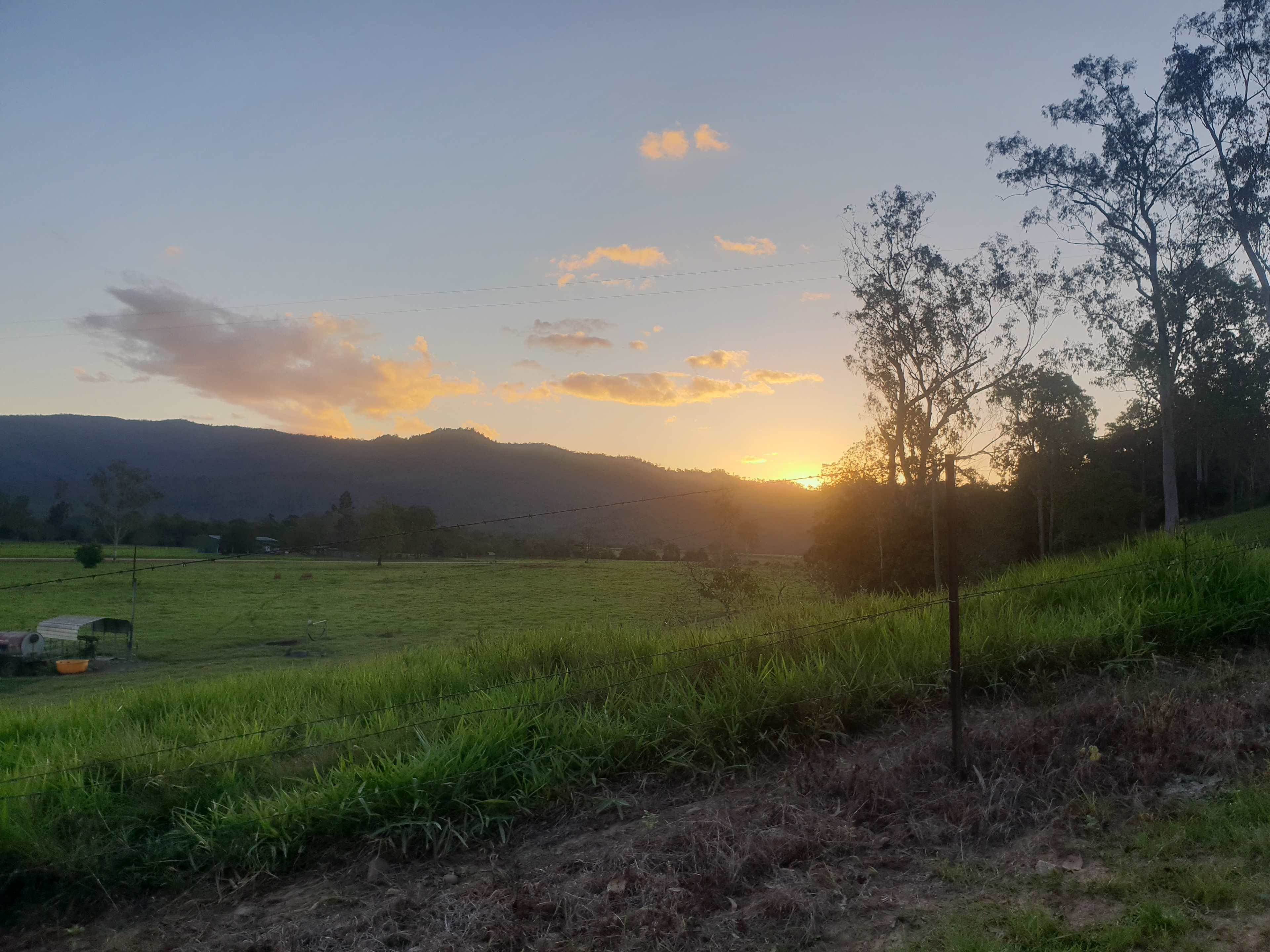 Herbert River Valley PasturesThat S