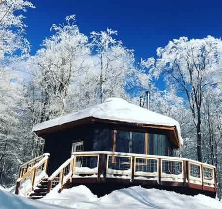 Texas Hill Brook & Dark Star Cabin