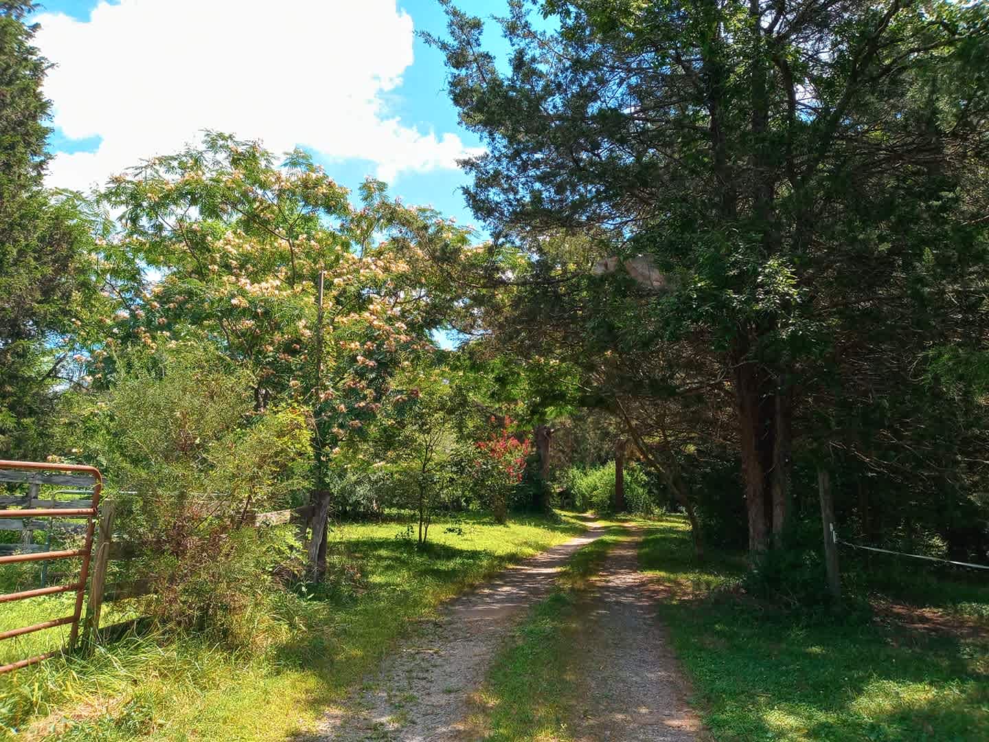 Giant Oaks Horse Farm