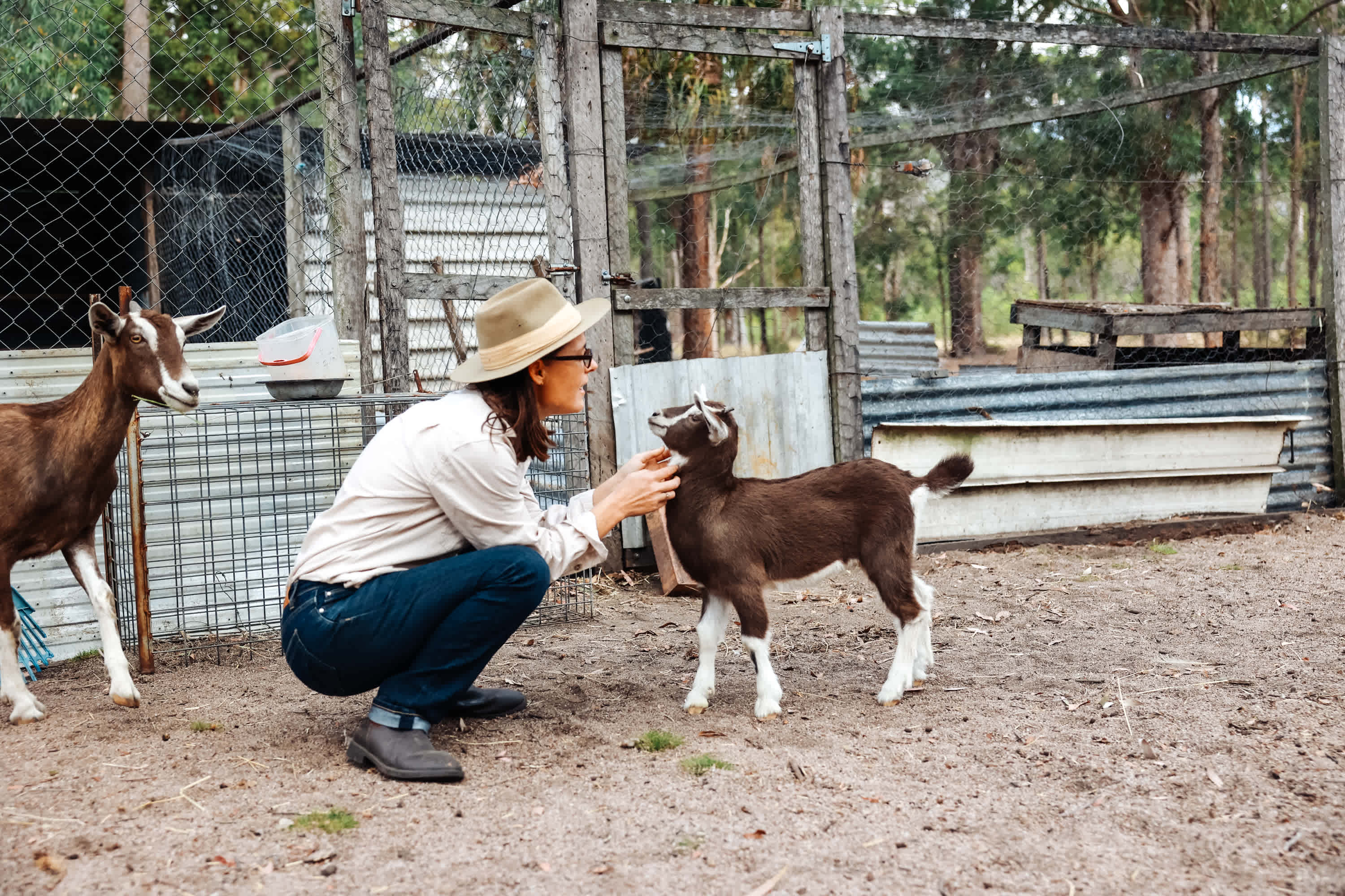 Camp Host and baby goat