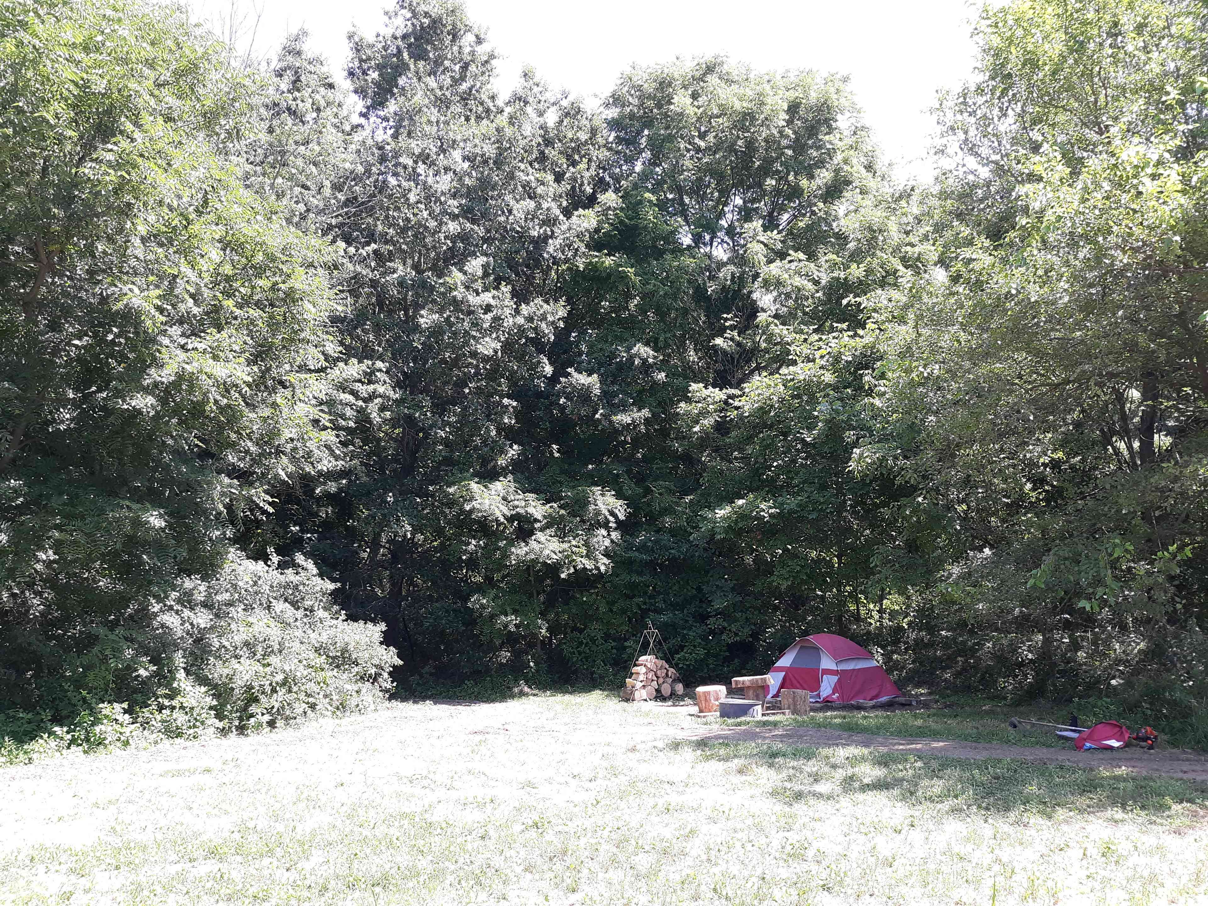 Camp with Alpacas at Aris Farm