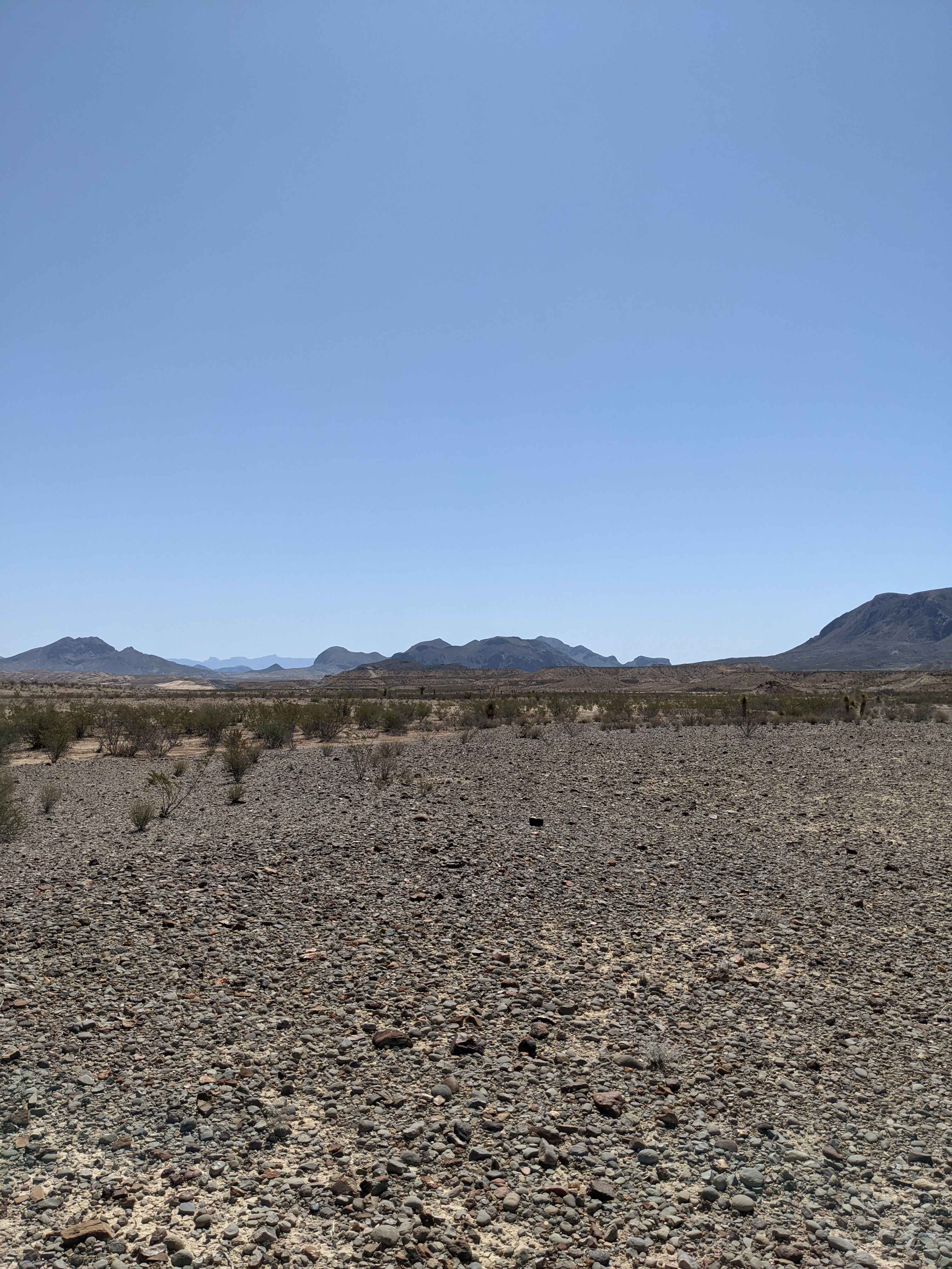 NoWhere Desert Paradise
