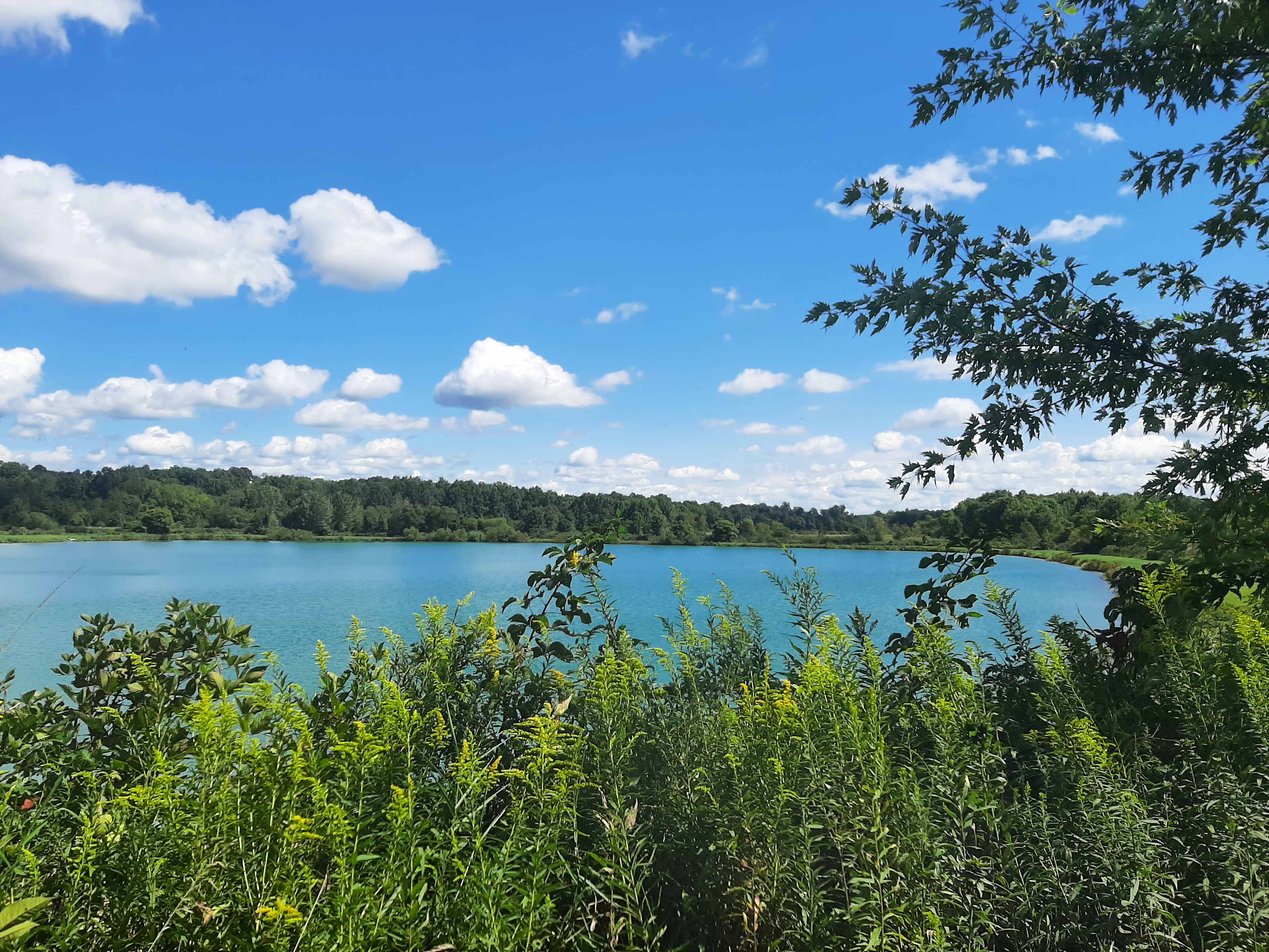 Mid summer day!