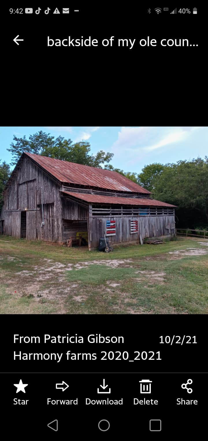 Harmony hollow