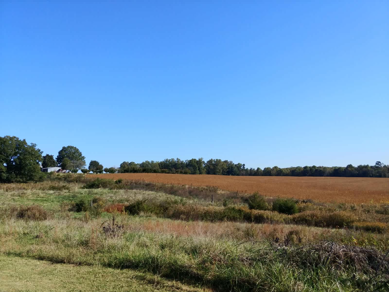 The Homestead