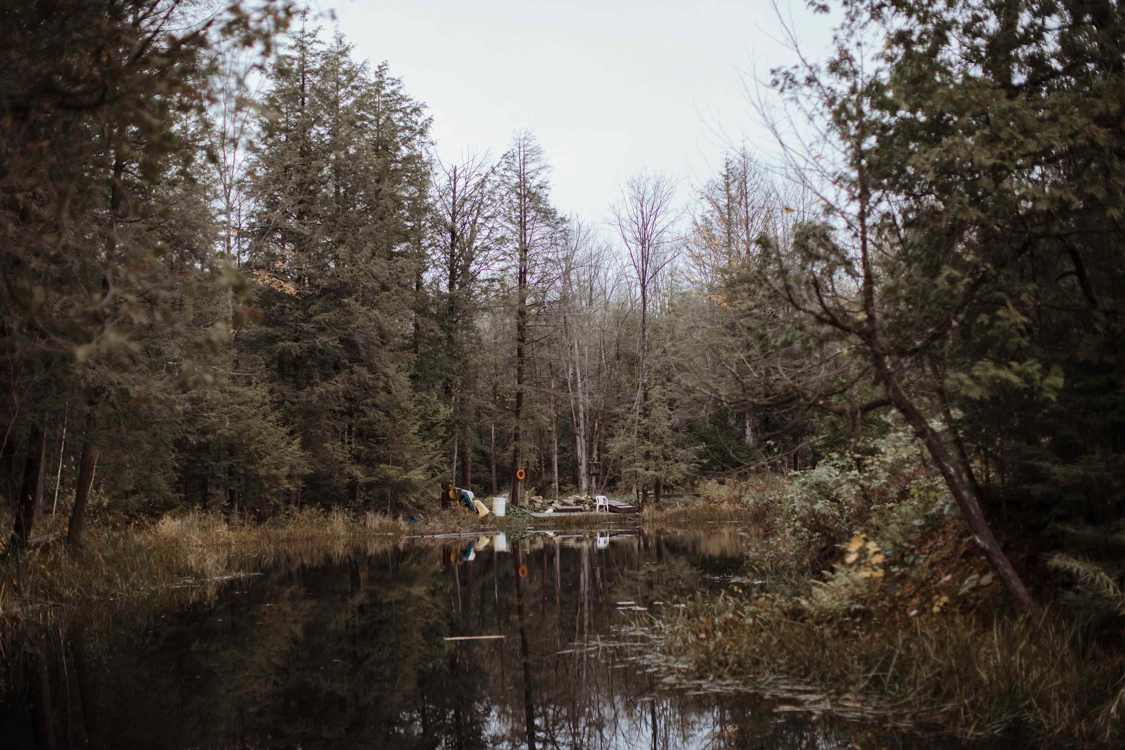 He's built in so many beautiful nature elements, including this pond which also has a well-groomed path around for walking.