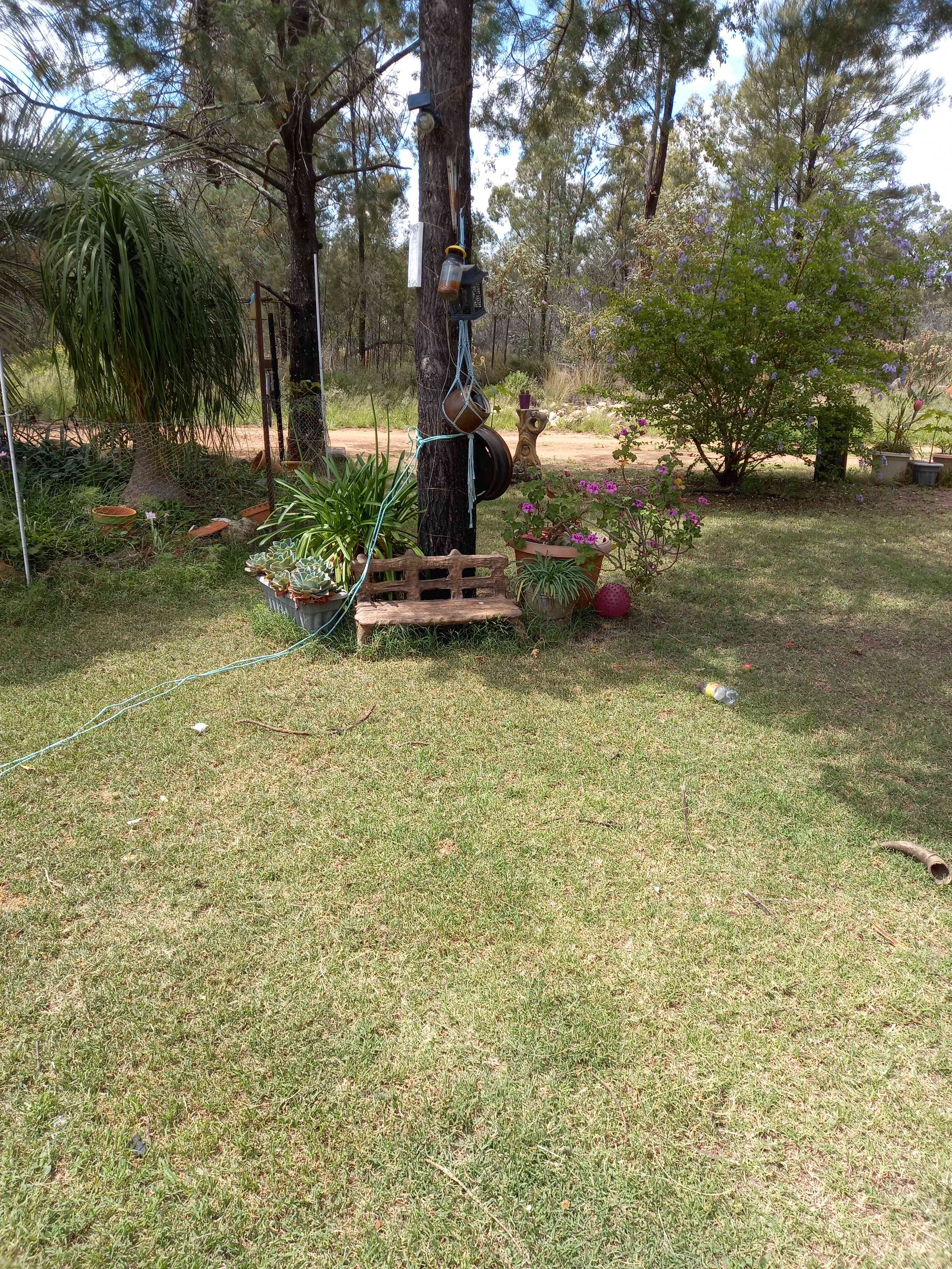The Homestead gardens, have held functions.