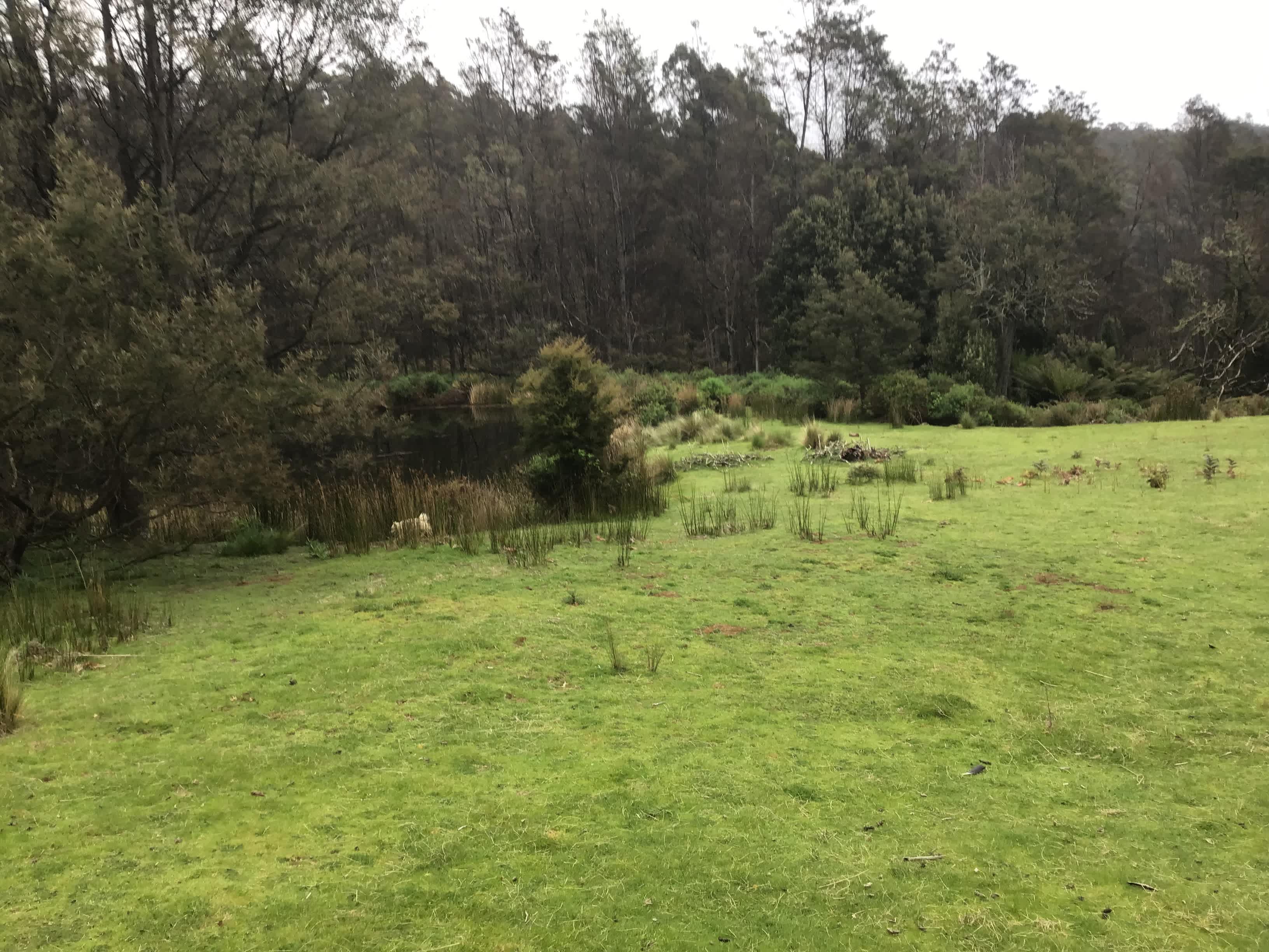 South Preston Dam Camp