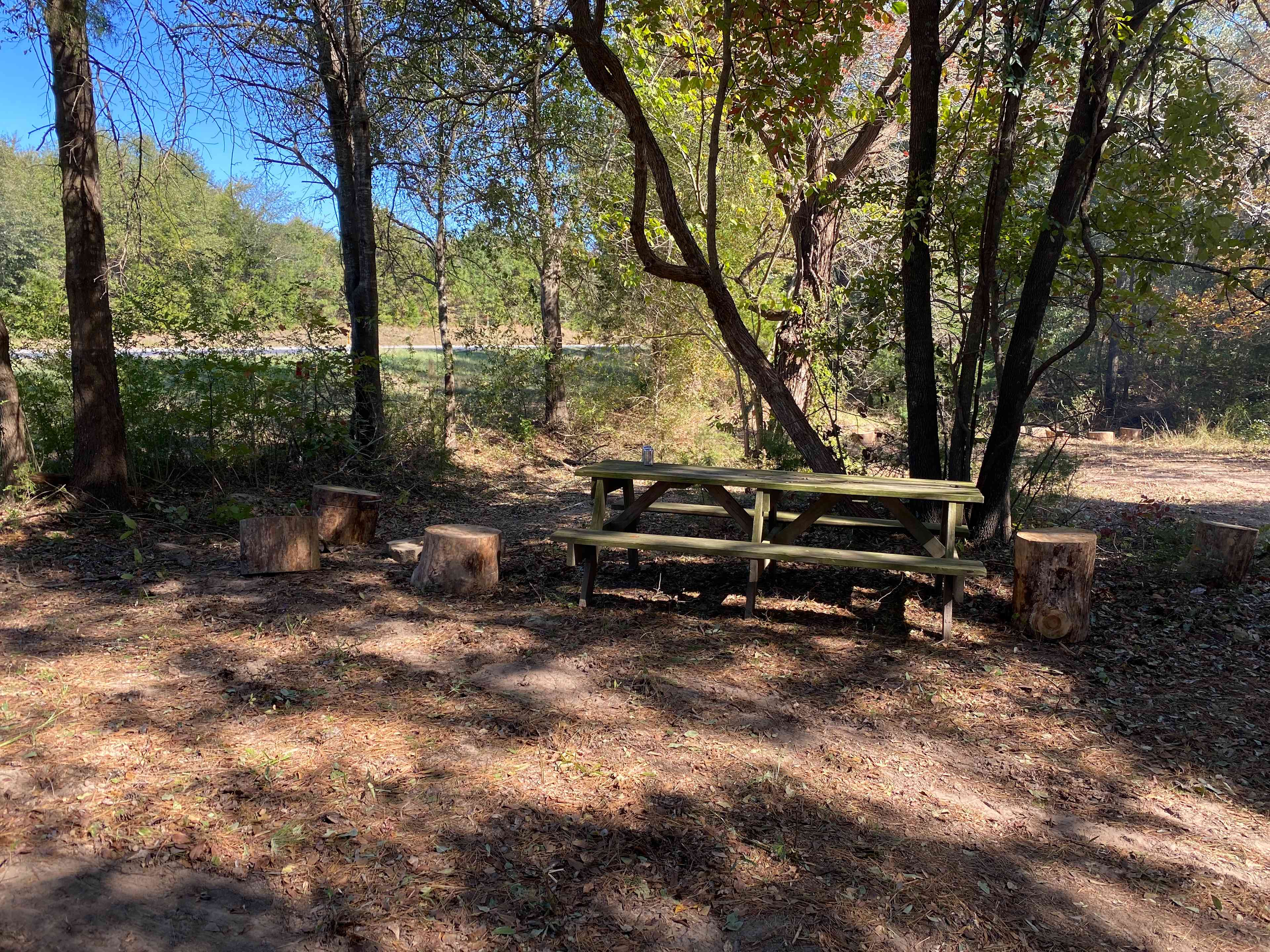 Site two picnic table