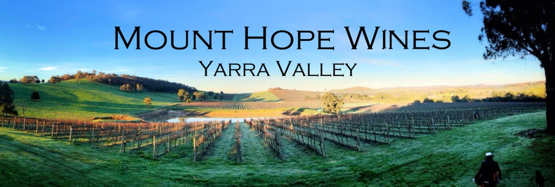 Mt Hope Vineyard Estate.