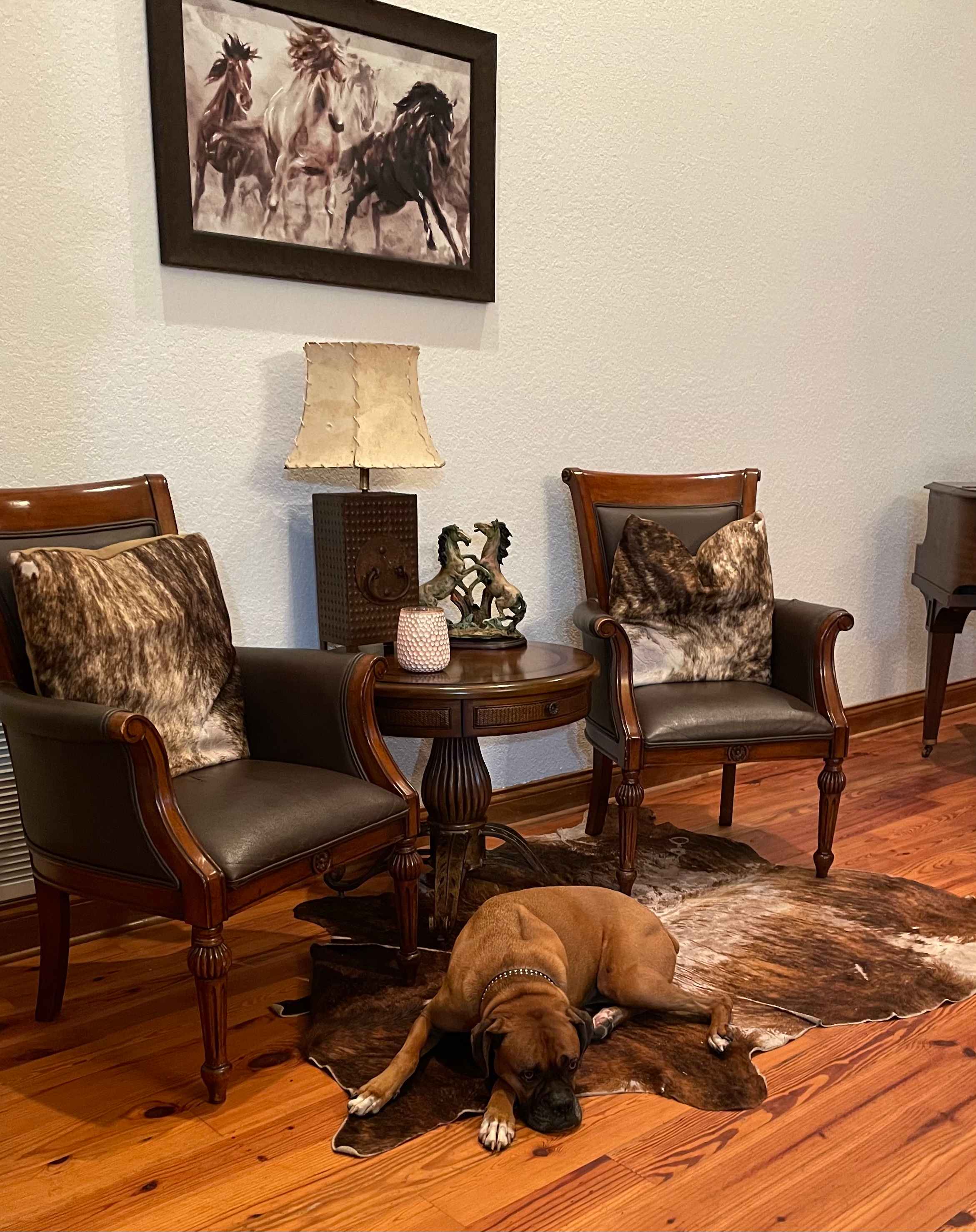 My dog enjoyed the clubhouse.
