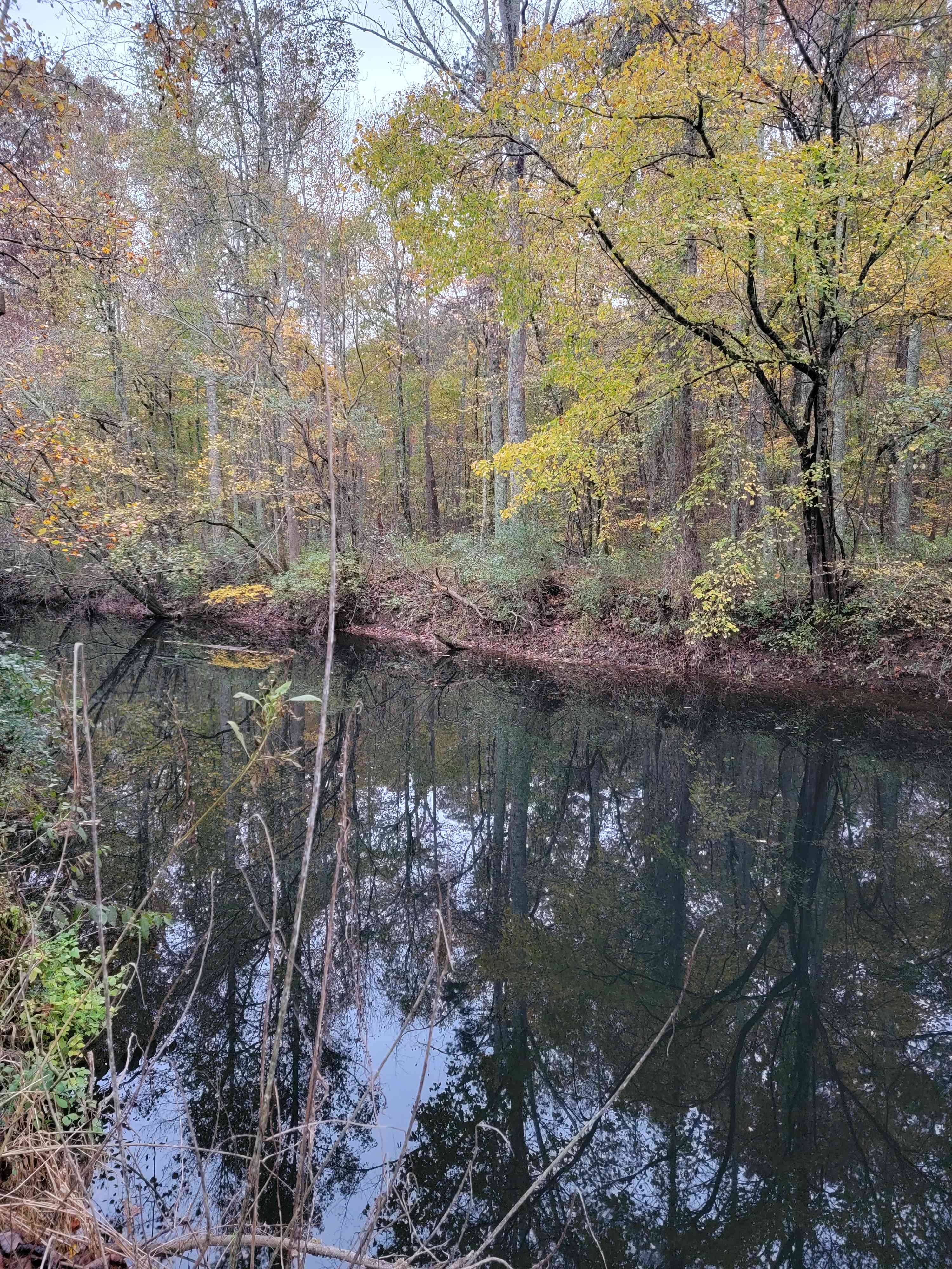 Backforty Campground
