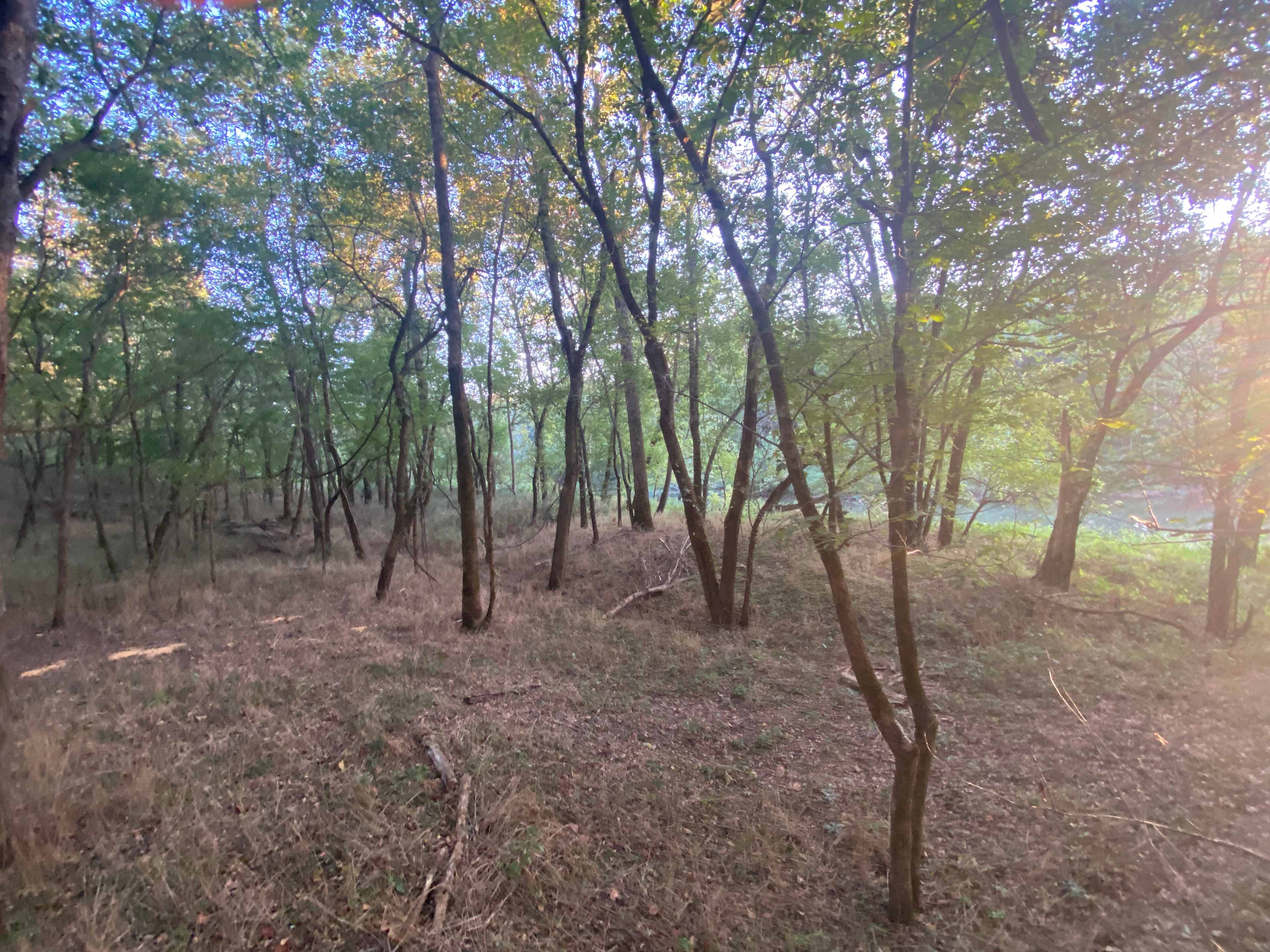 Illinois River Paradise | 60 Acres