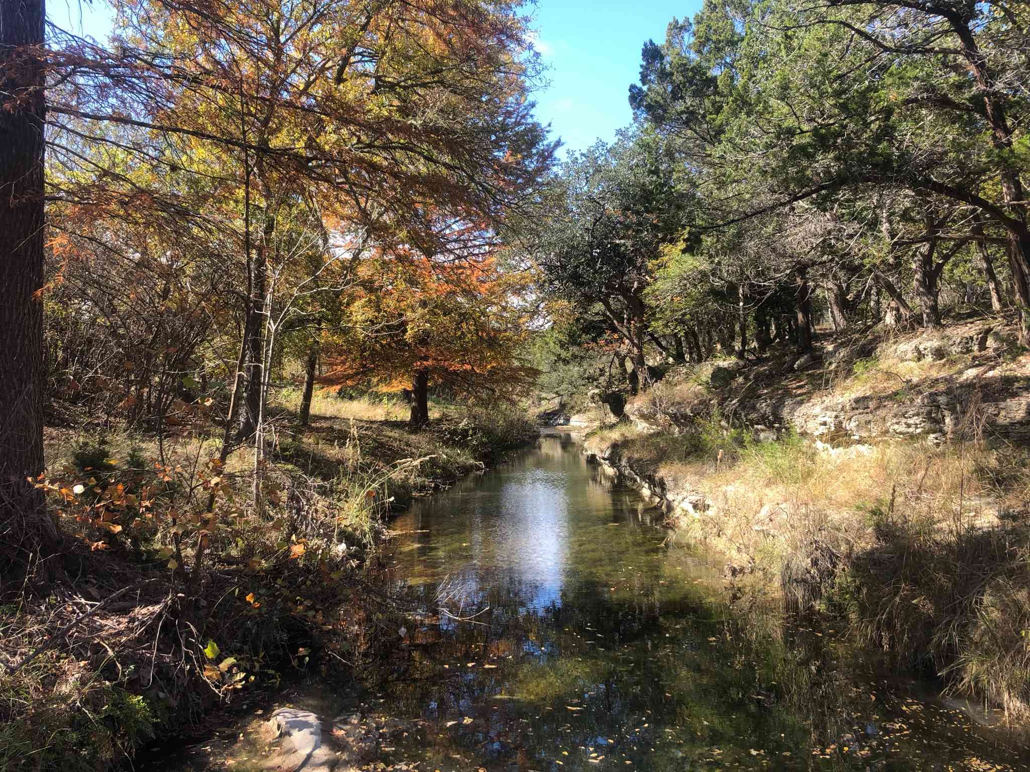 The campsite is near this spot on the spring fed creek.