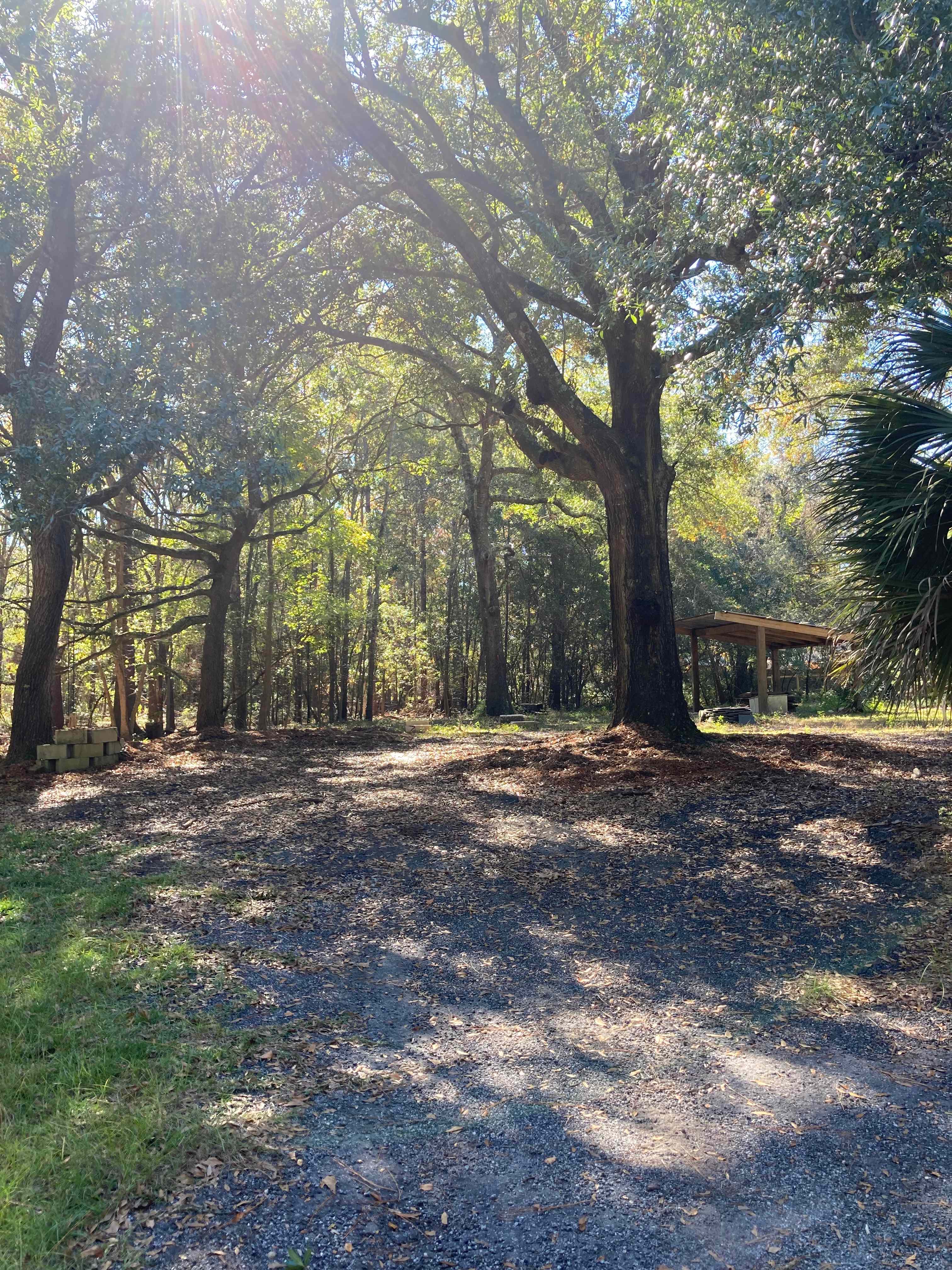 Driveway of the site, can hold up to 45 foot.  You can see the grilling lean to in the back.