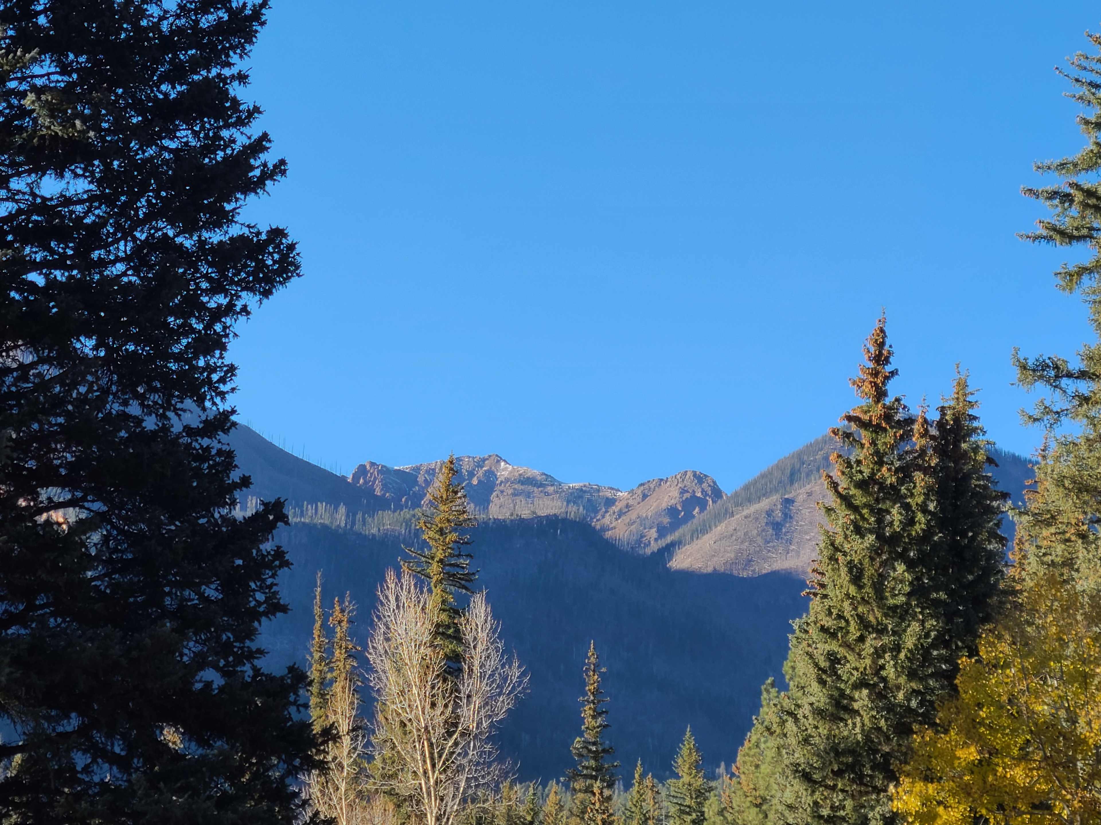 View from north meadow.
