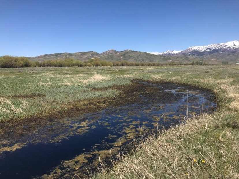Expansive Views of Soldier Mountain