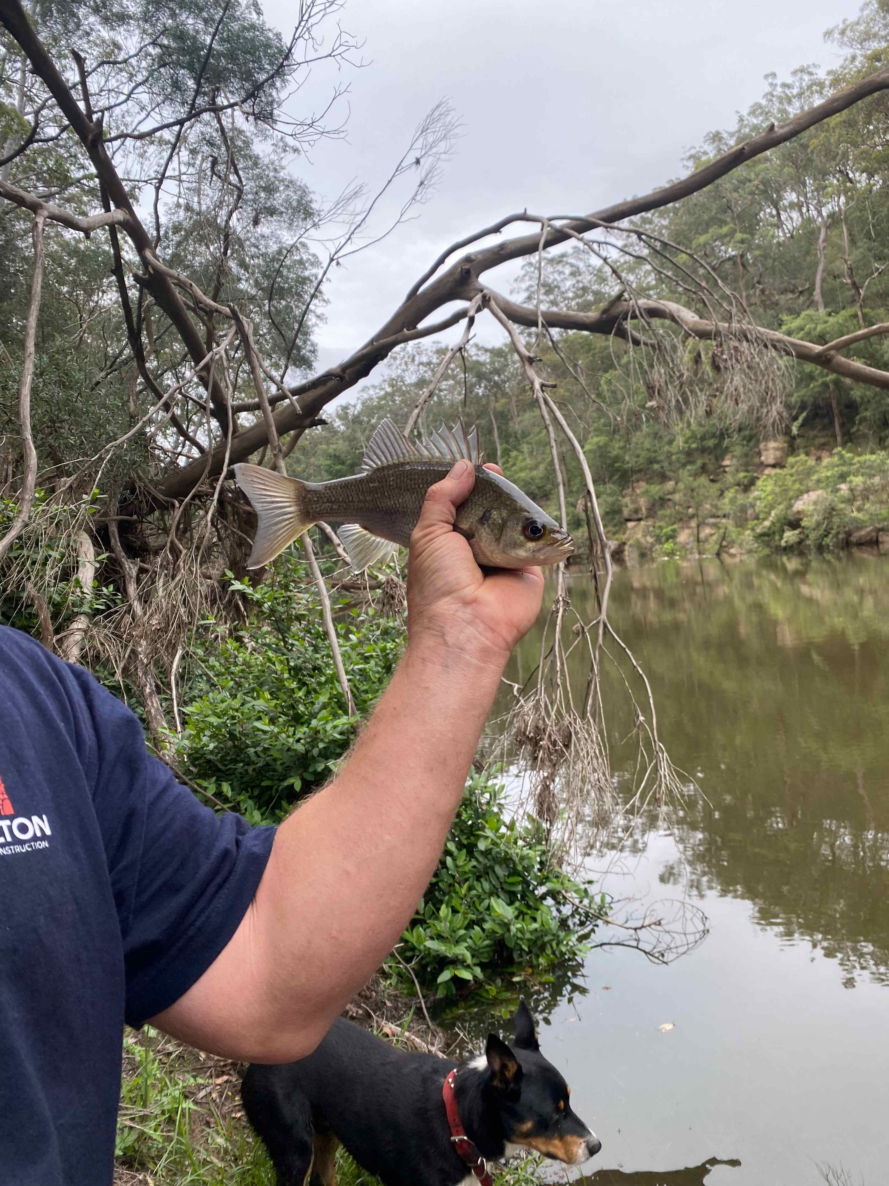 So fun to fish and even better when we catch something. 