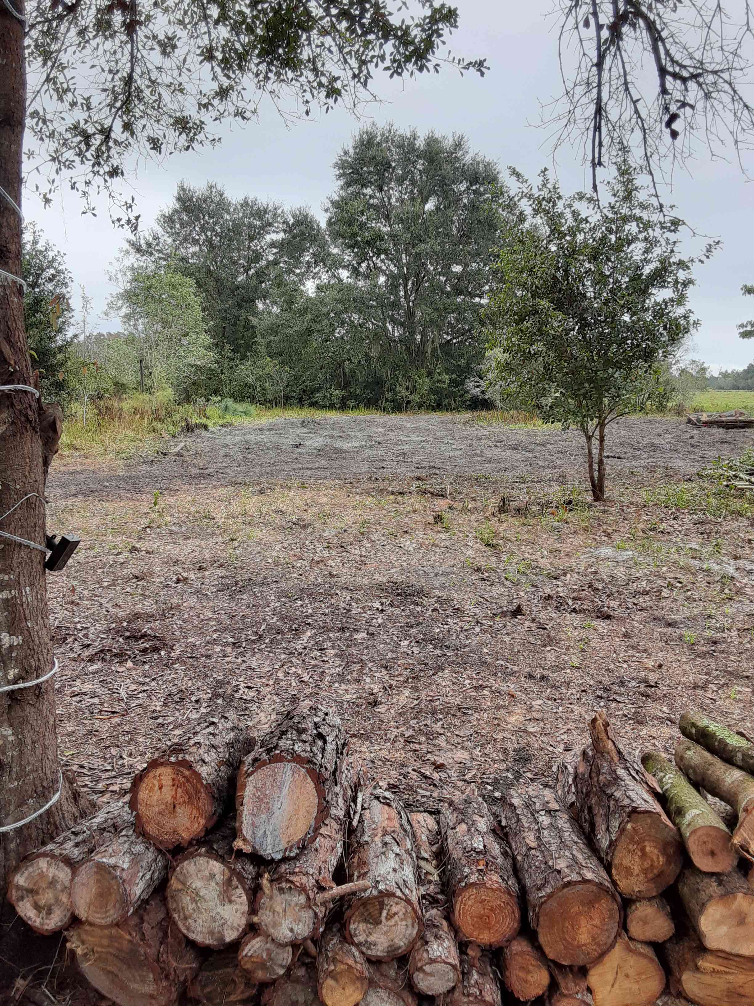 Camp Hide Away