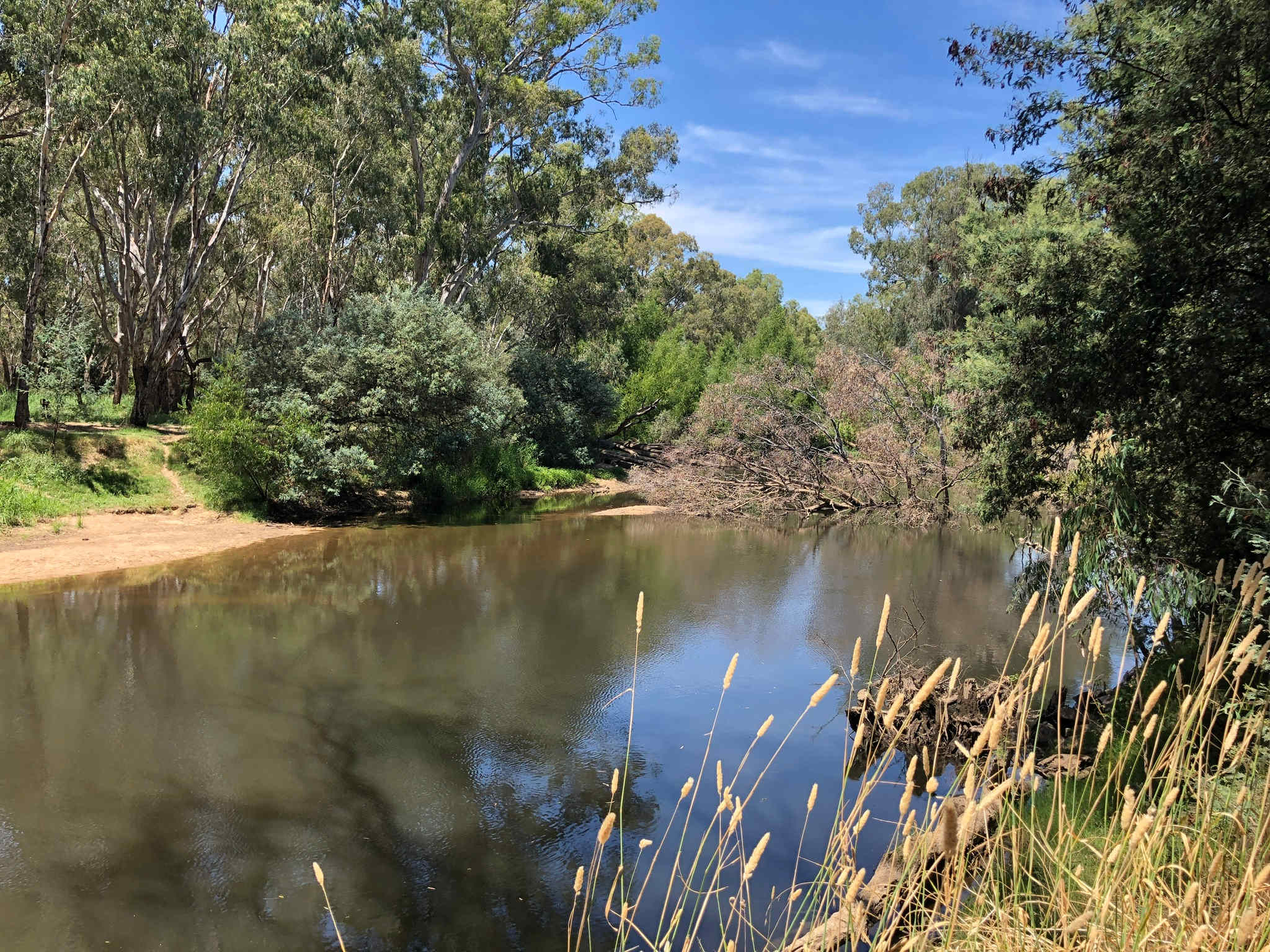 Camp Ovens