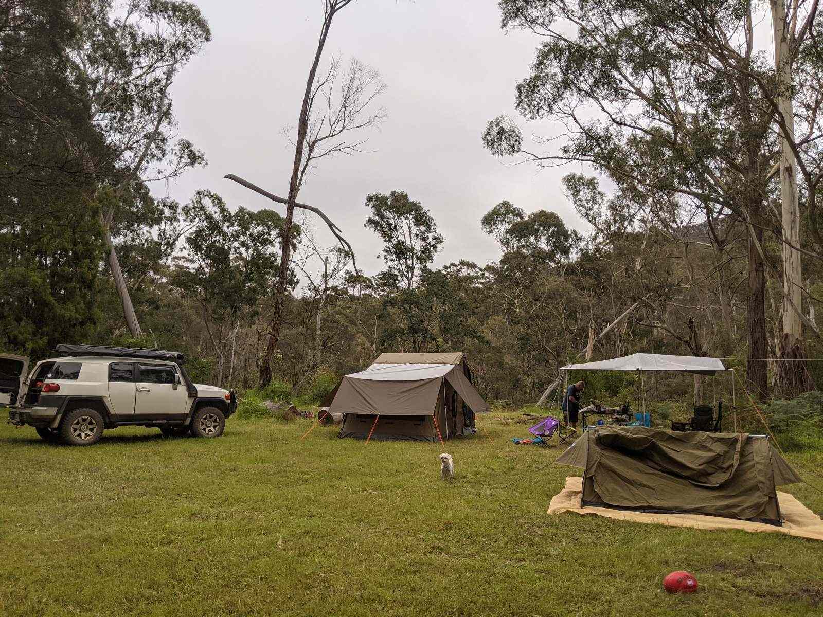 Rose Gum Farm