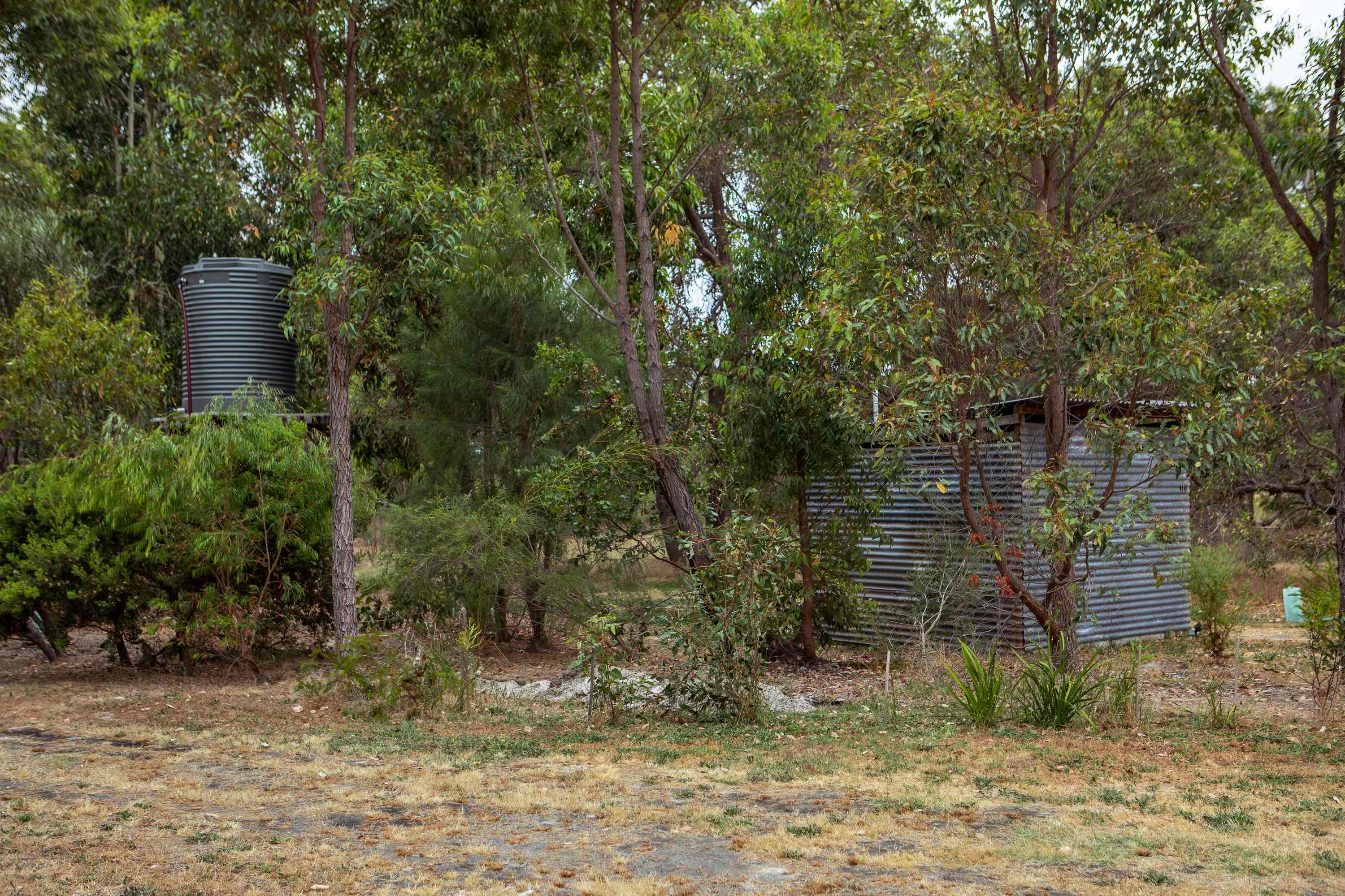 Rose’s Reserve