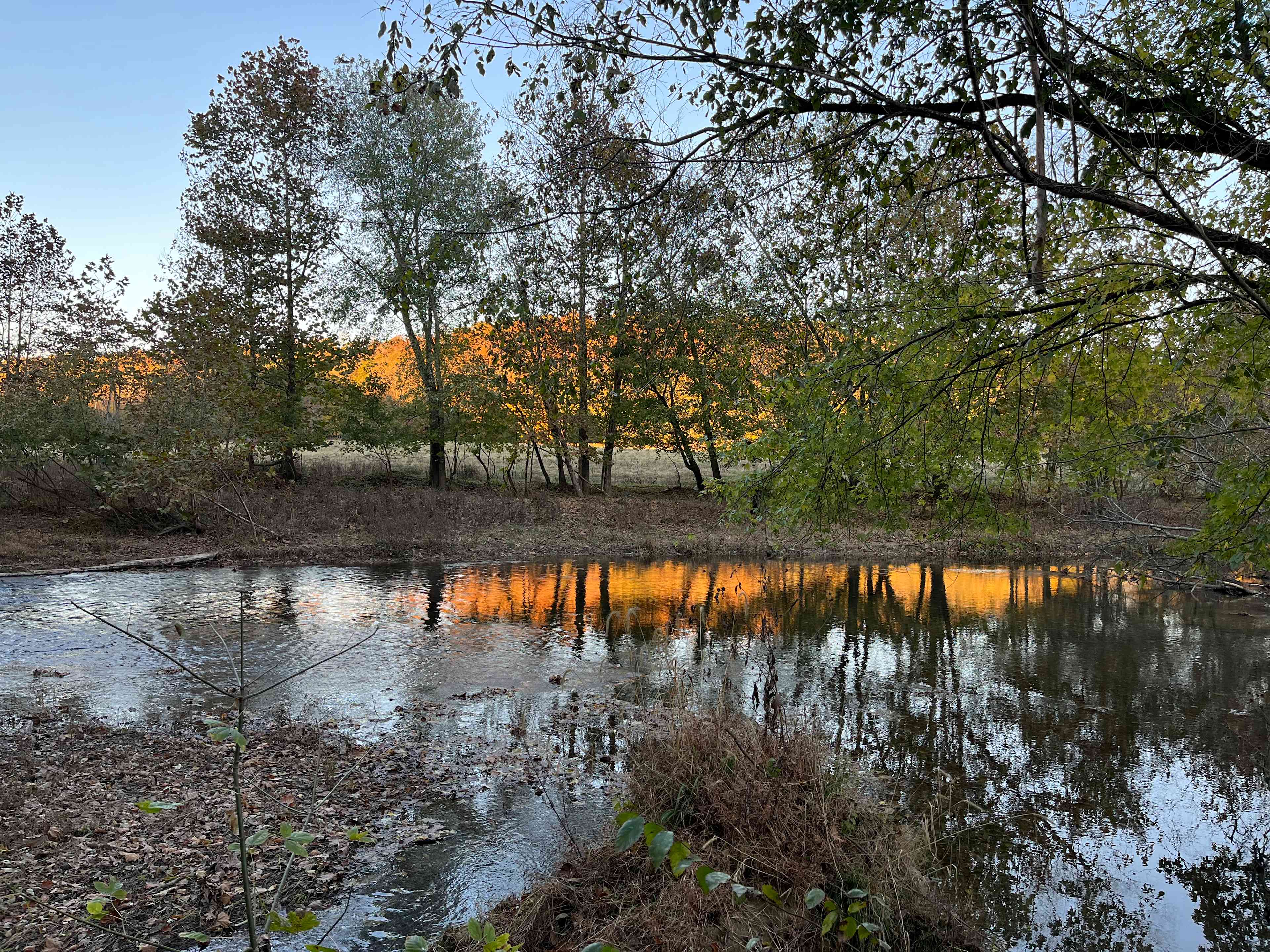 Beautiful creek runs through the property, dip your toes in or lay in the water for a private relaxation.