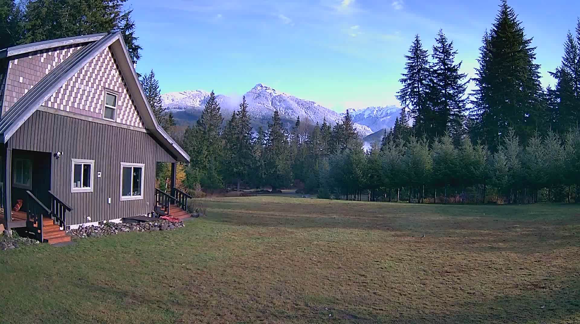 A winters view from the fire pit.